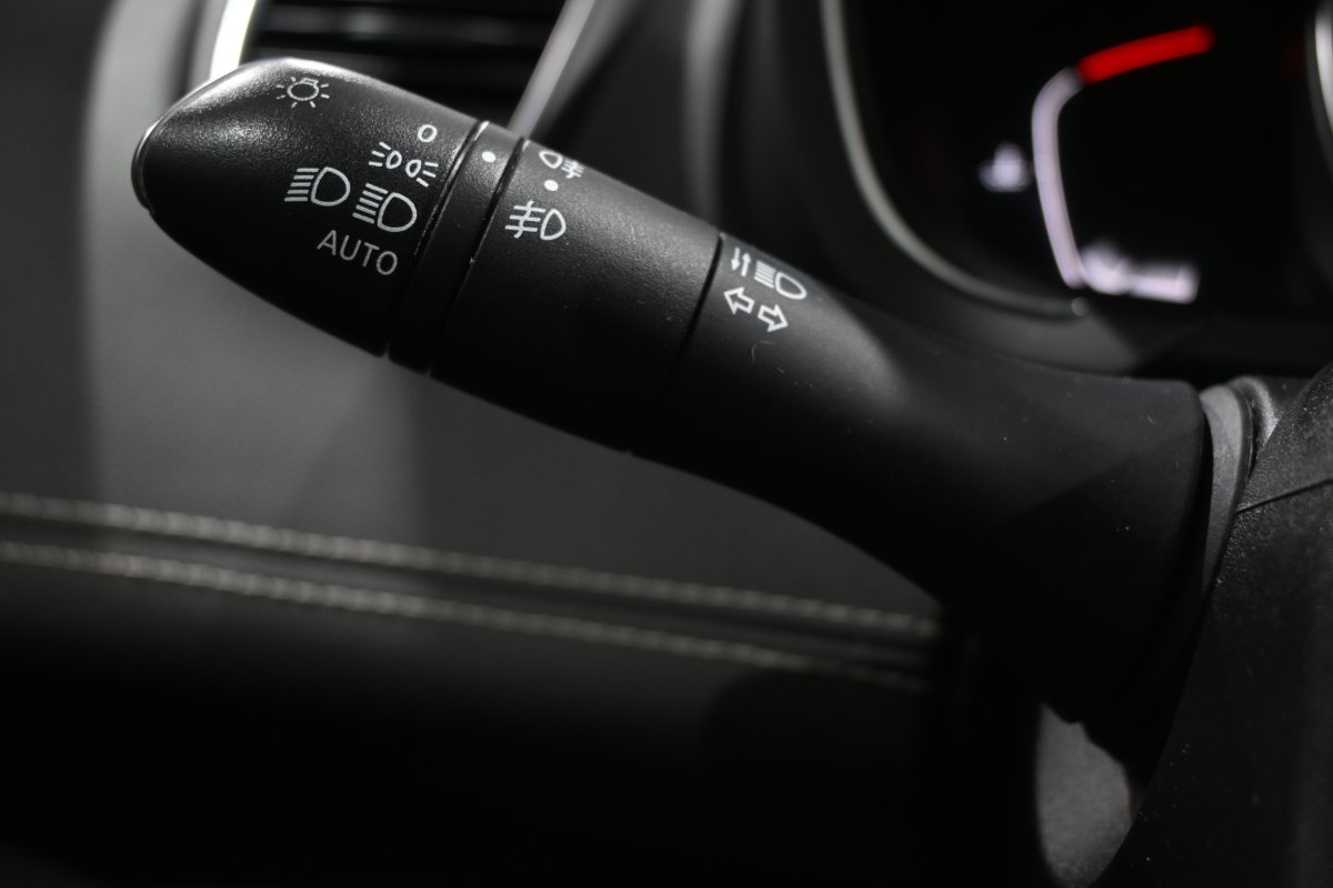 Foto Renault Scenic 24