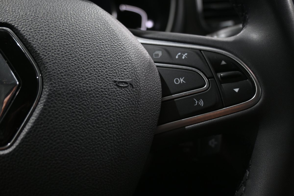 Foto Renault Scenic 23