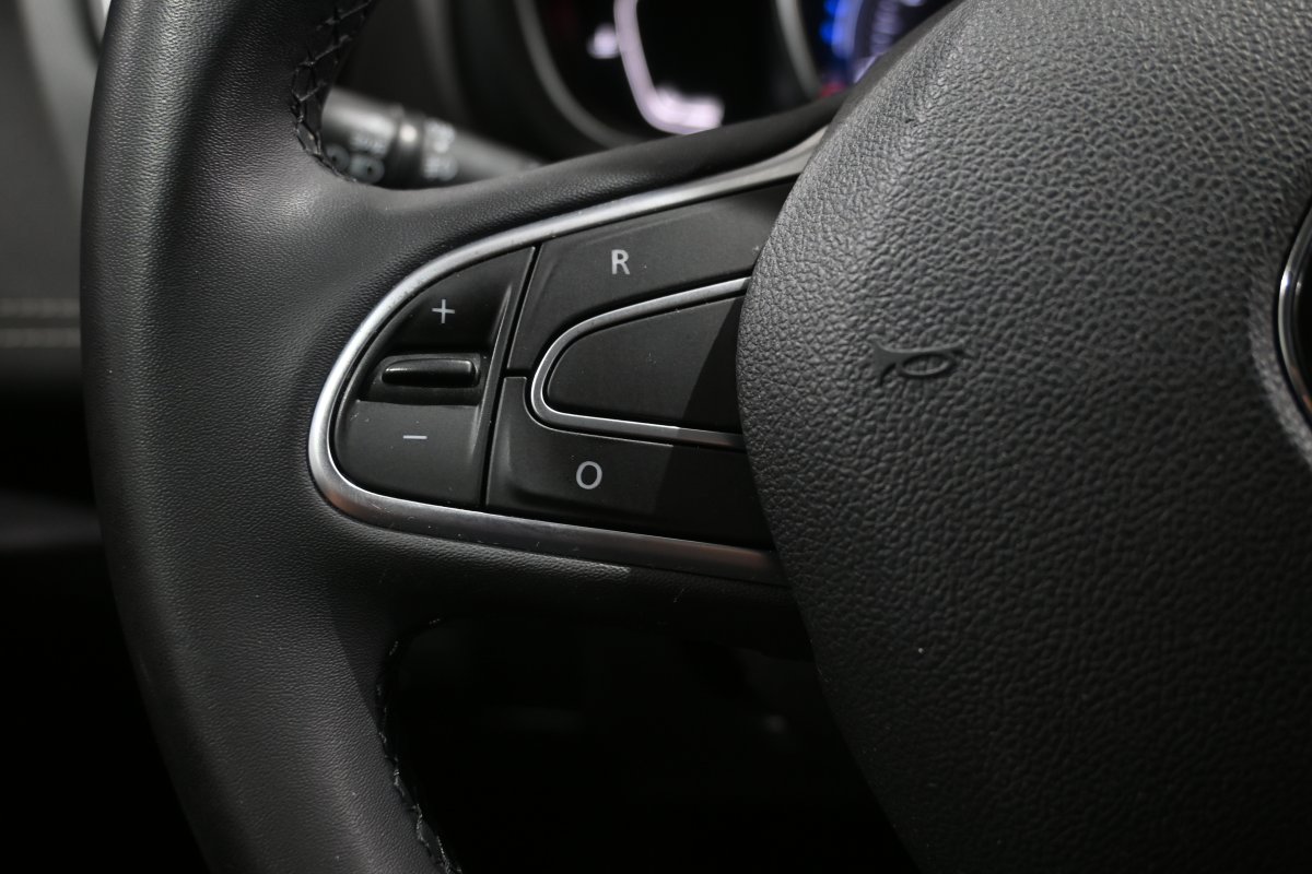 Foto Renault Scenic 22