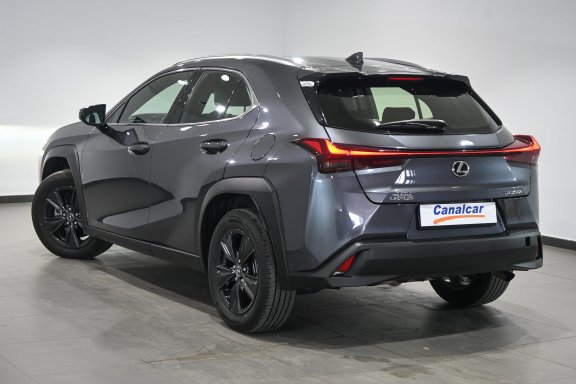 Foto de Lexus UX 250h Business 2WD