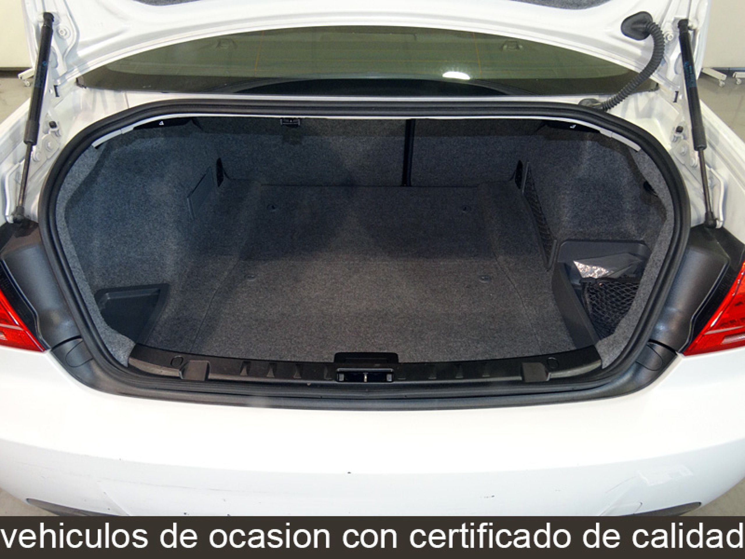 Foto Bmw 330 10