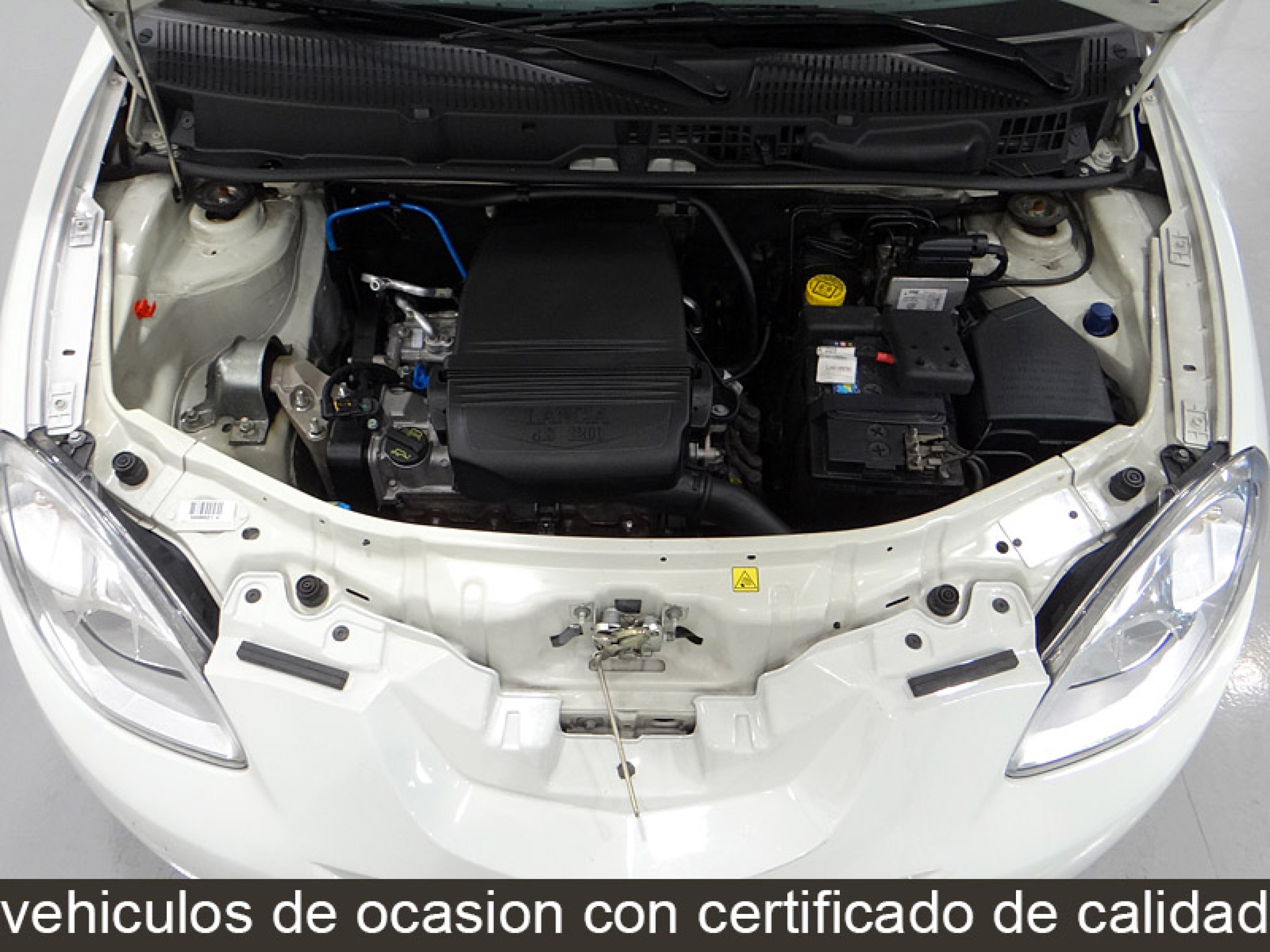 Foto Lancia Ypsilon 33