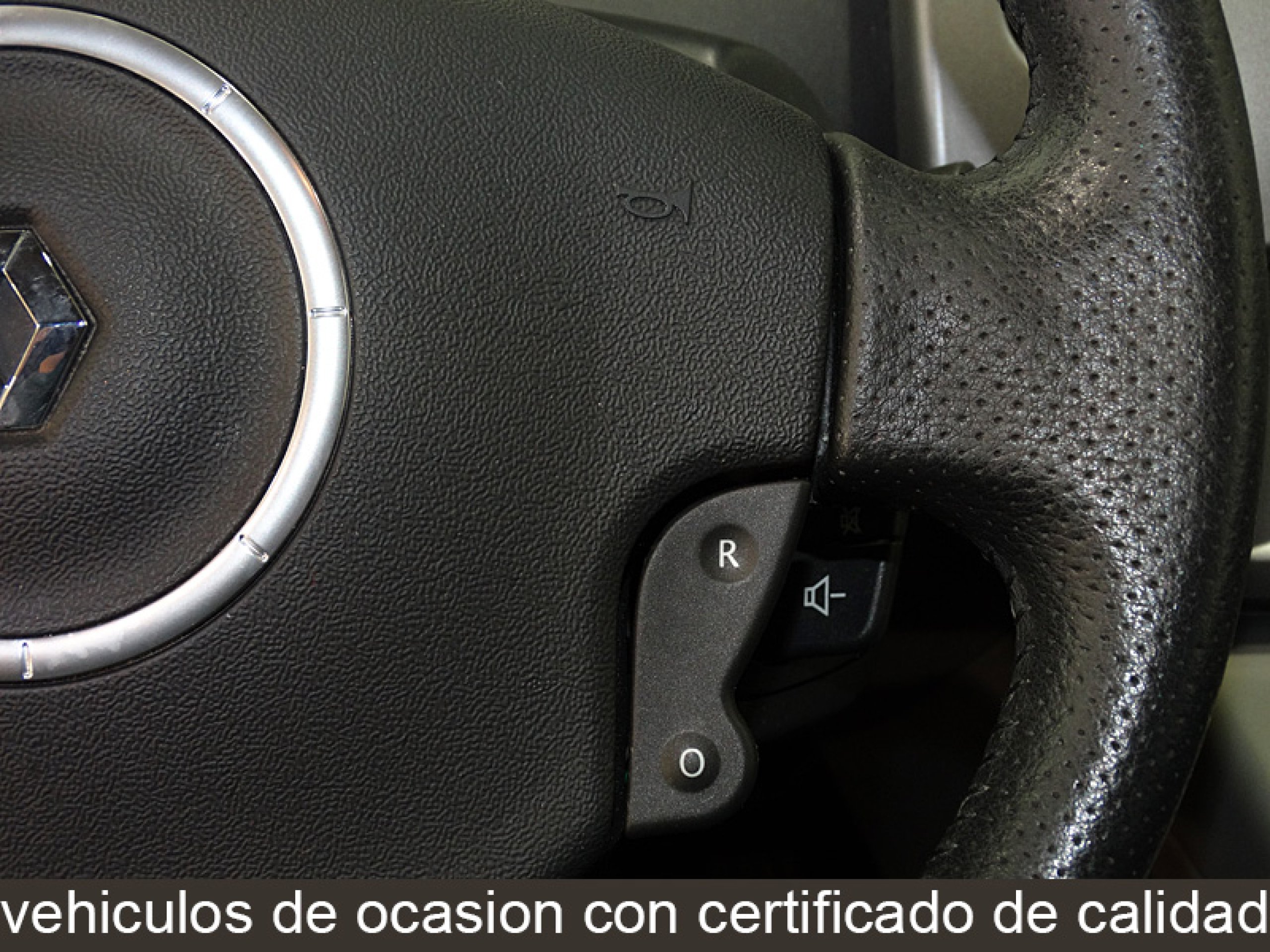 Foto Renault Scenic 13