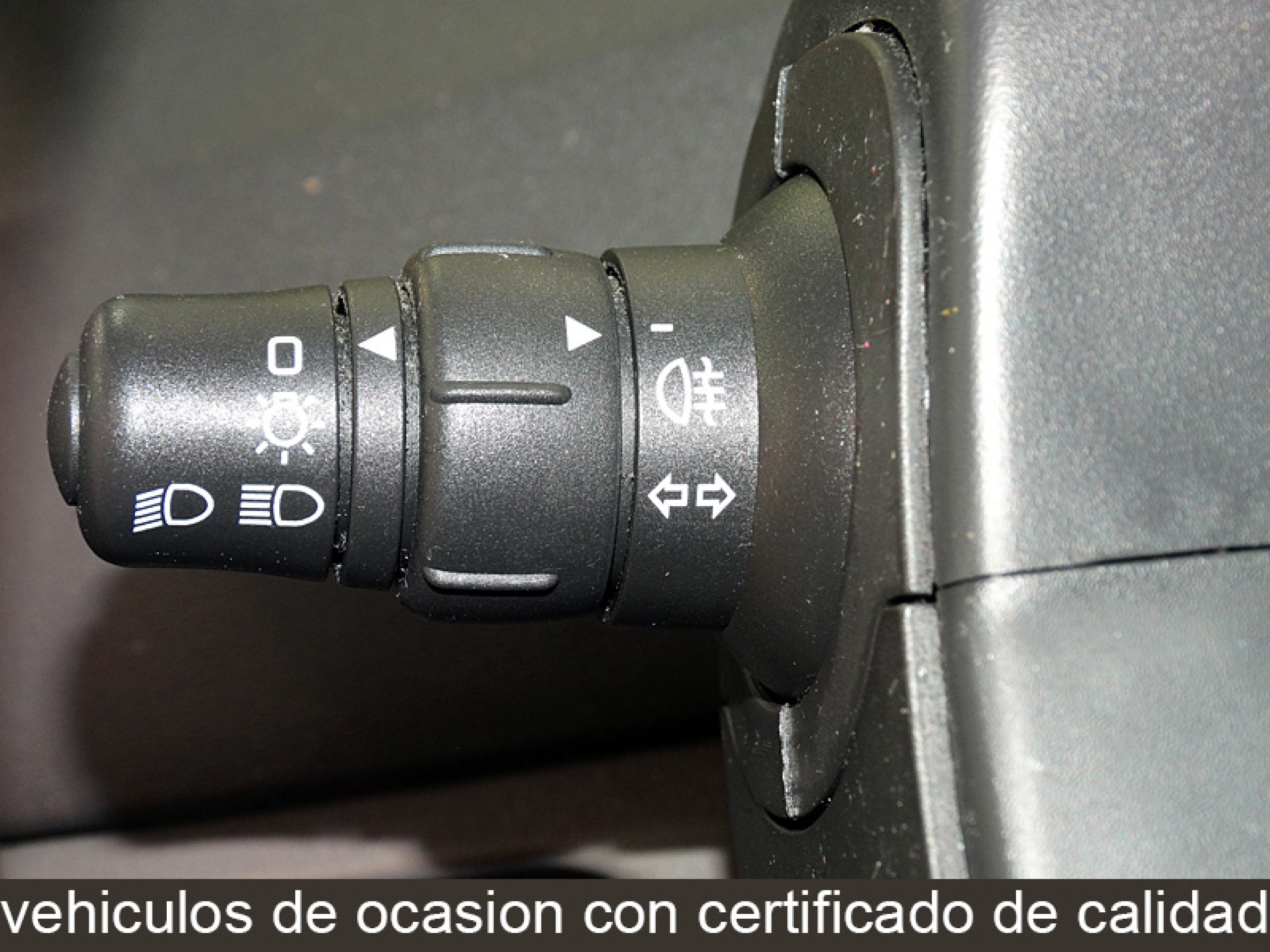 Foto Renault Scenic 14