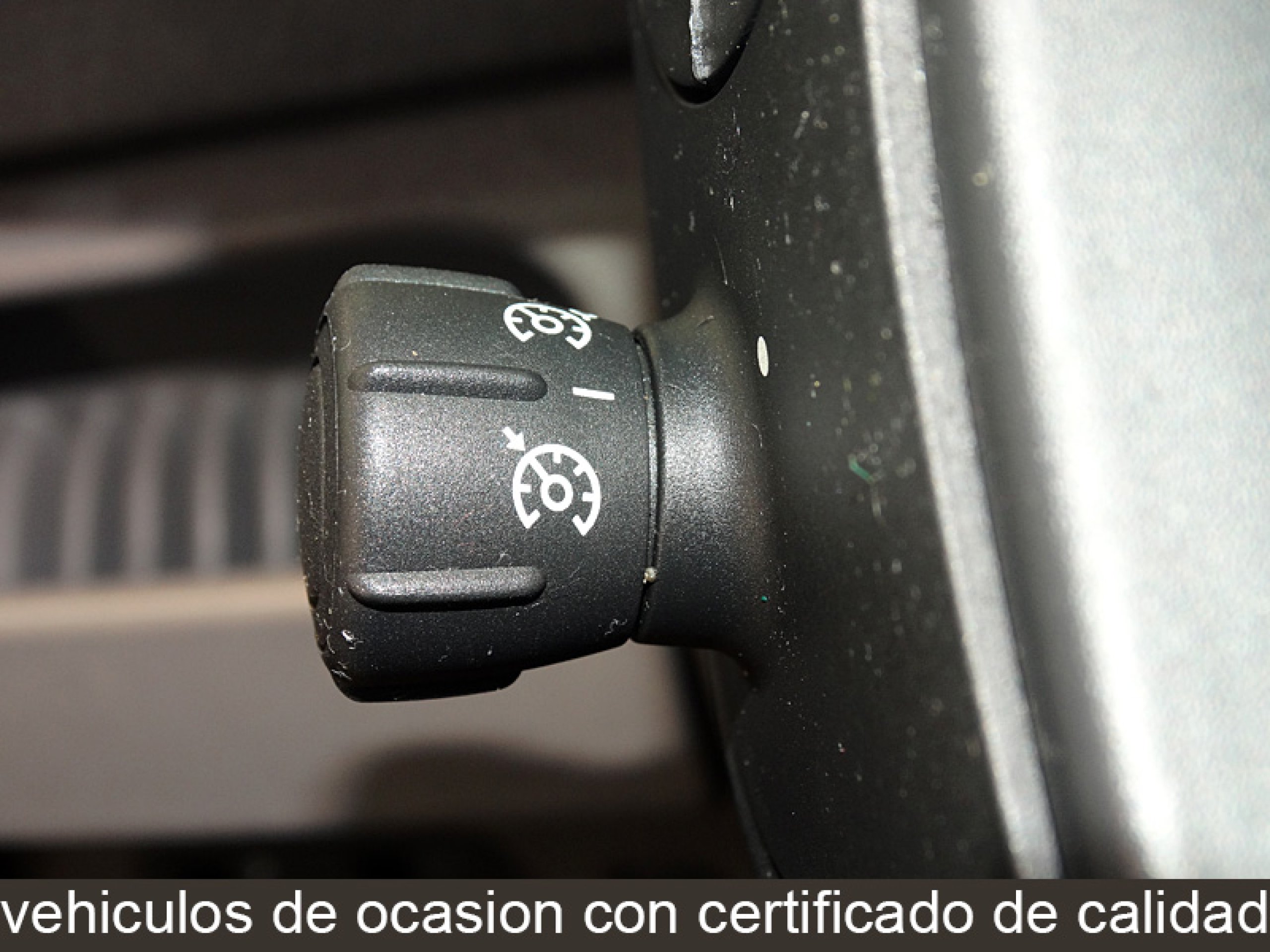 Foto Renault Scenic 15