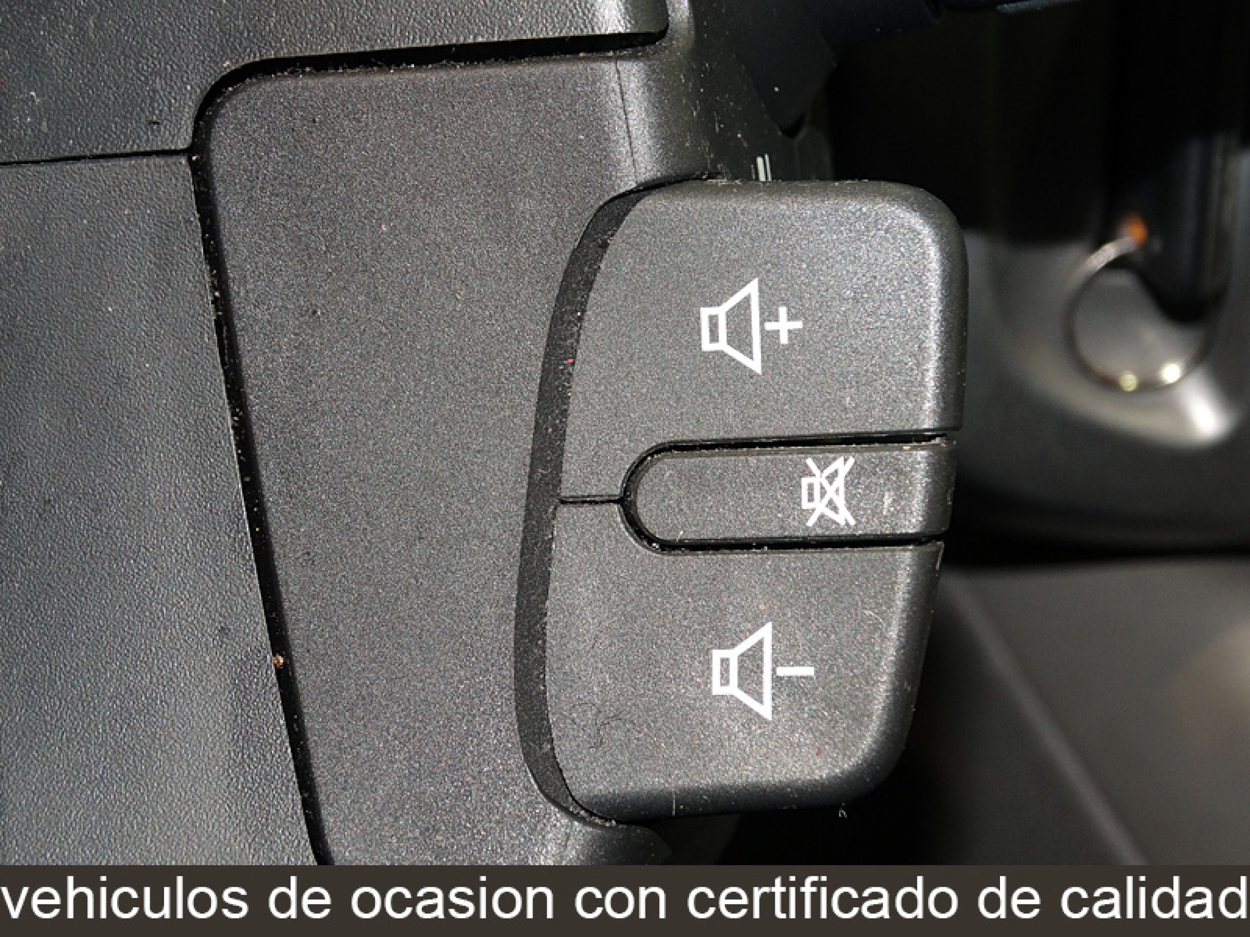 Foto Renault Scenic 17