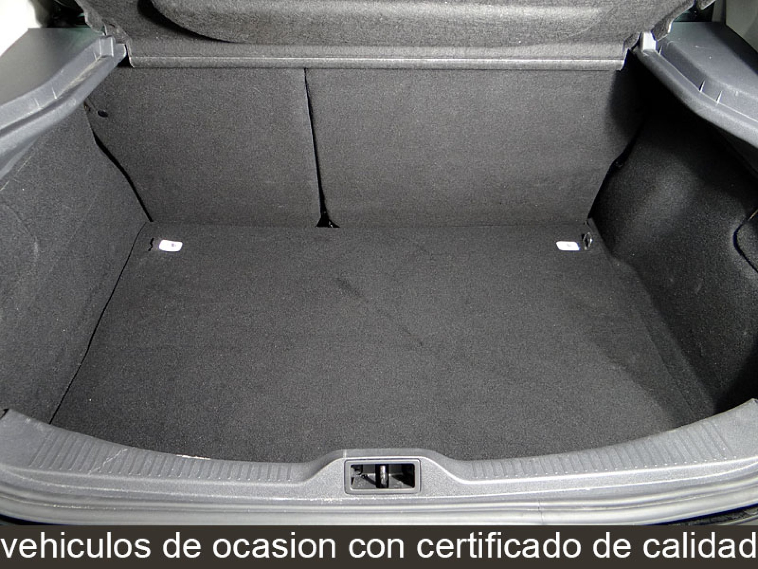 Foto Renault Megane 14