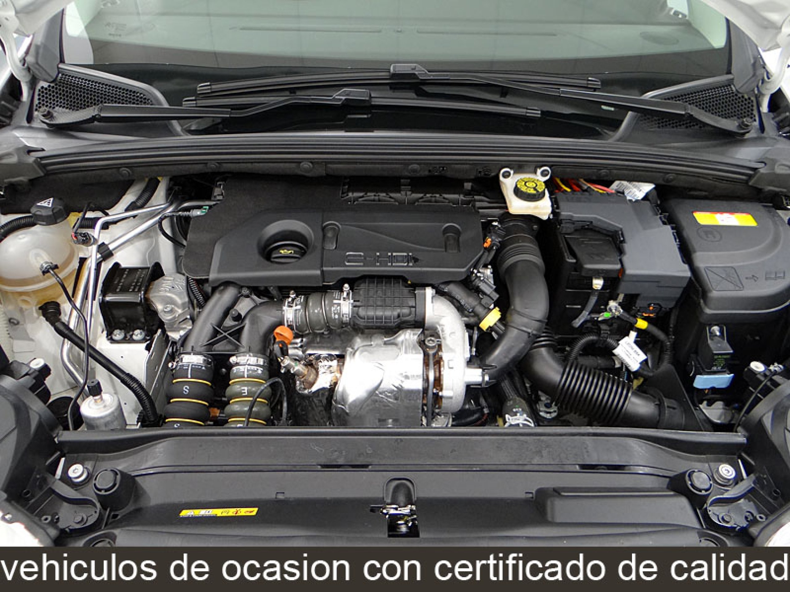 Foto Citroen C4 13