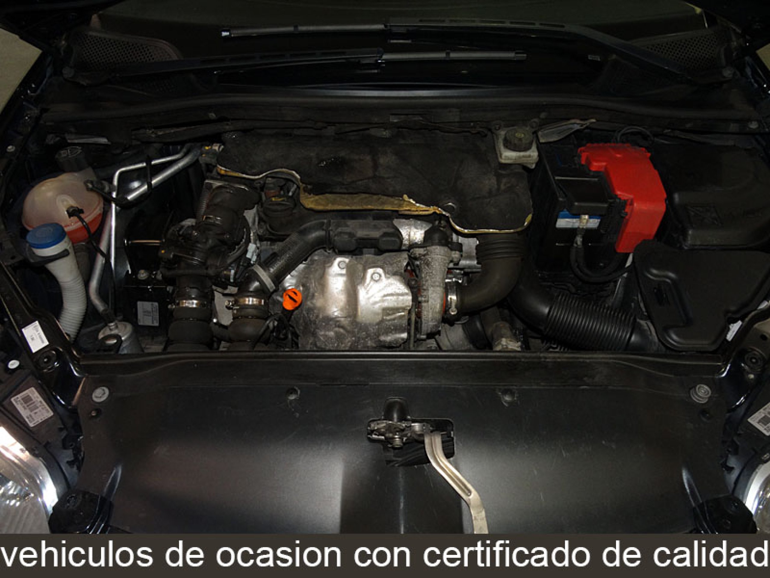 Foto Citroen C4 9