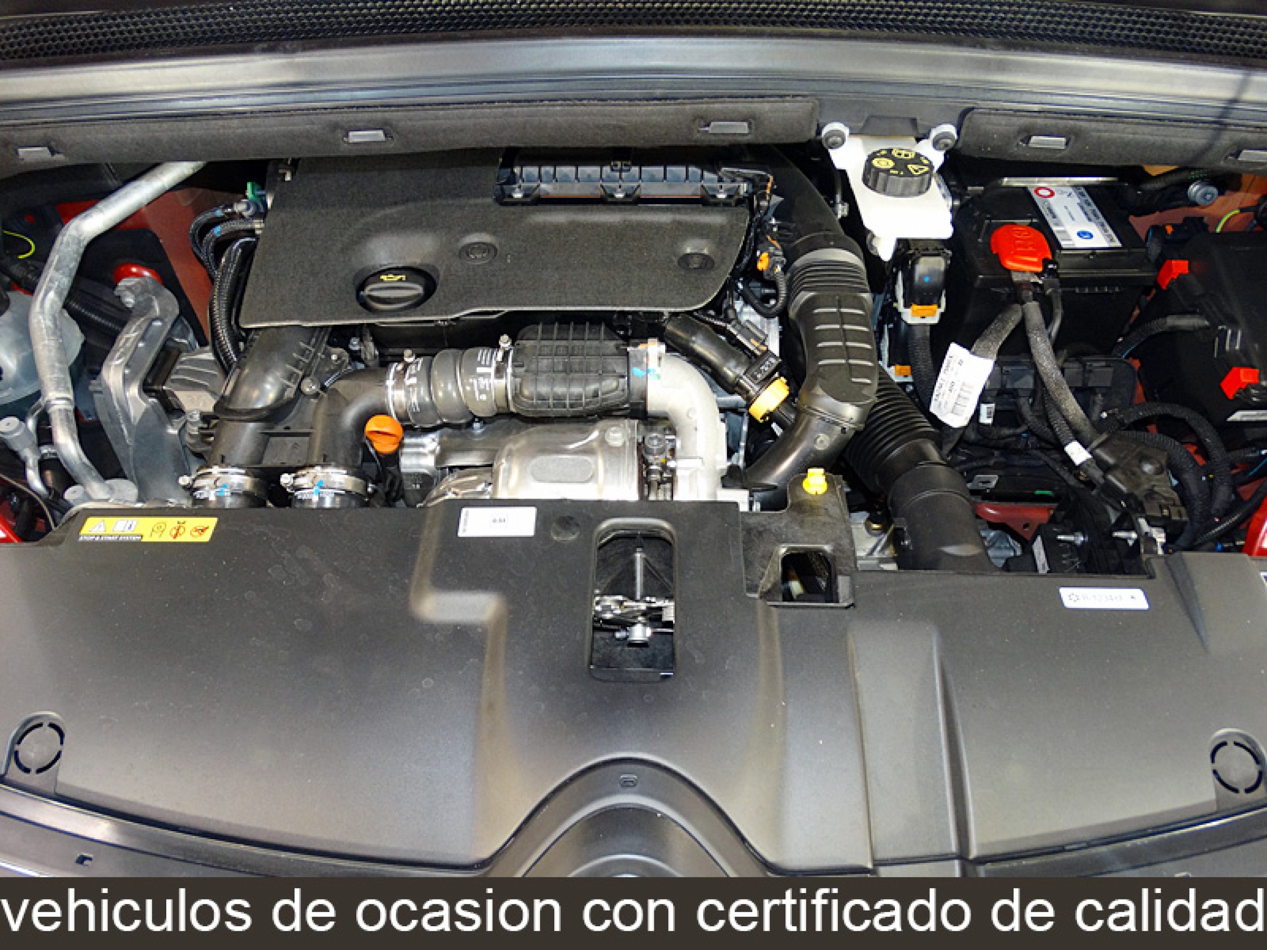 Foto Citroen C4 8