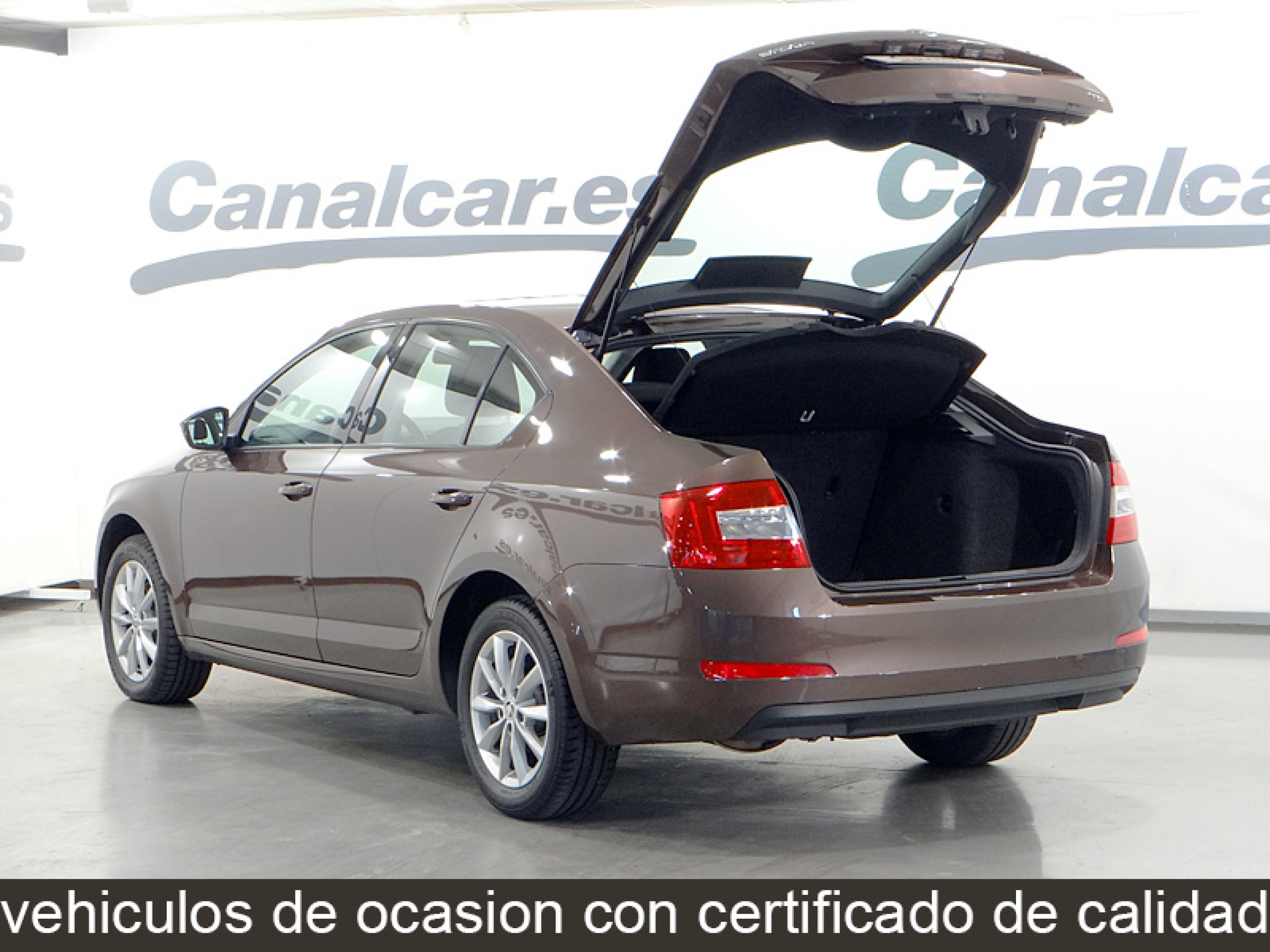 Foto Skoda Octavia 10