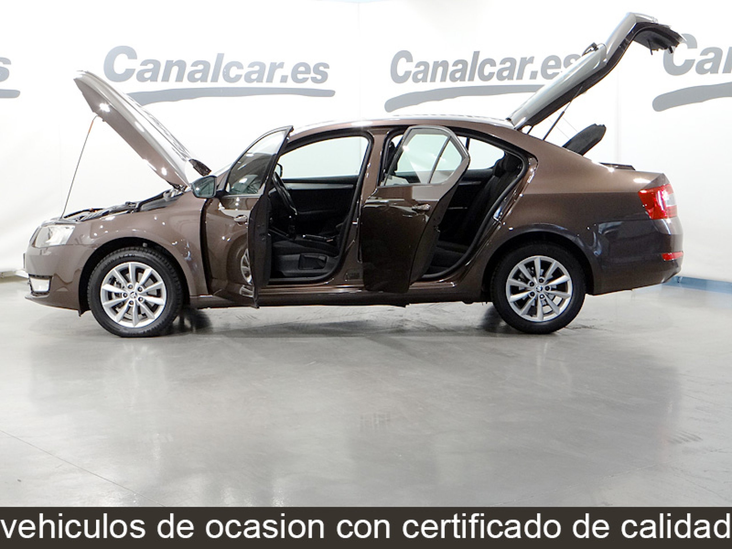 Foto Skoda Octavia 12