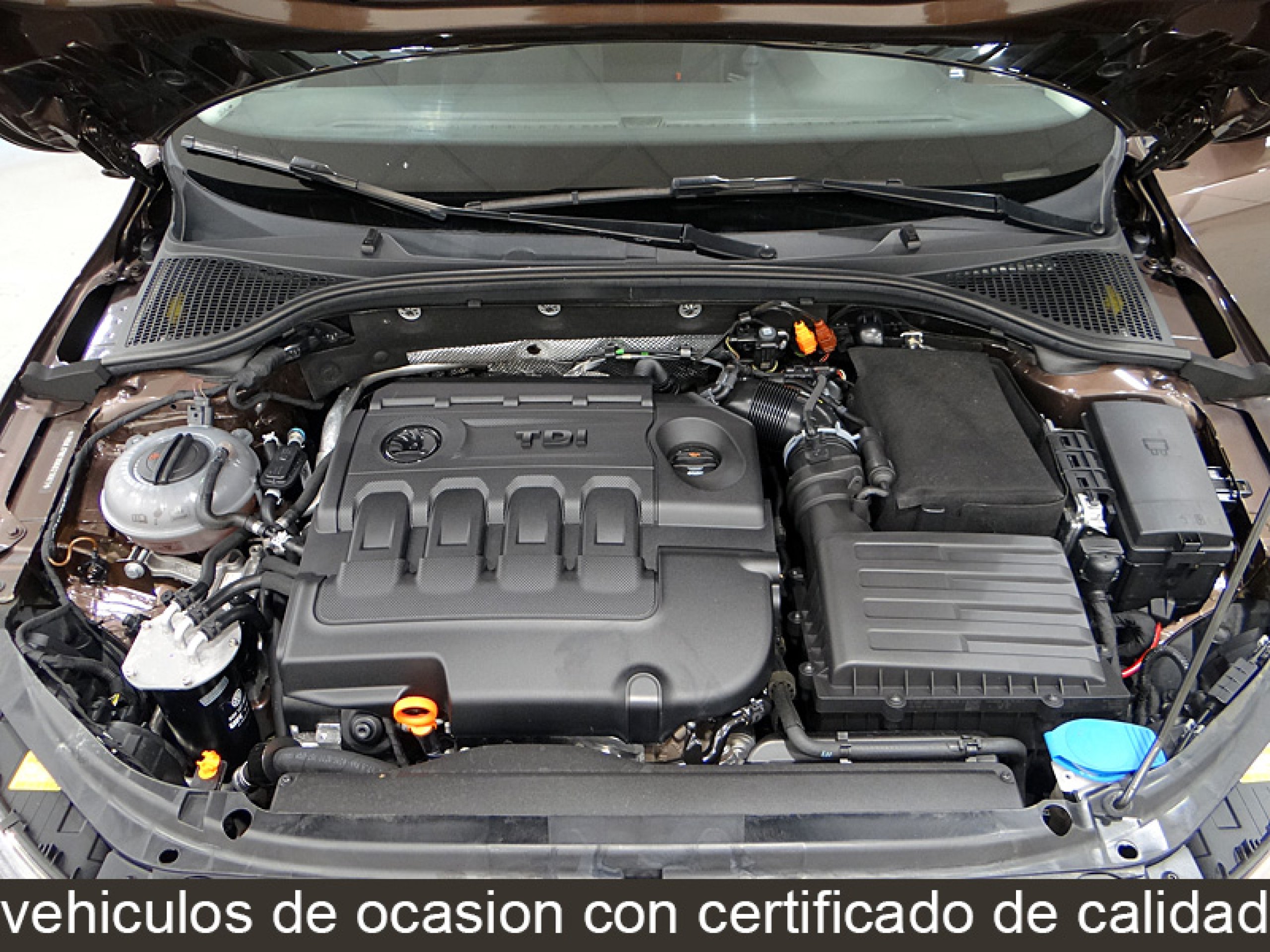 Foto Skoda Octavia 13