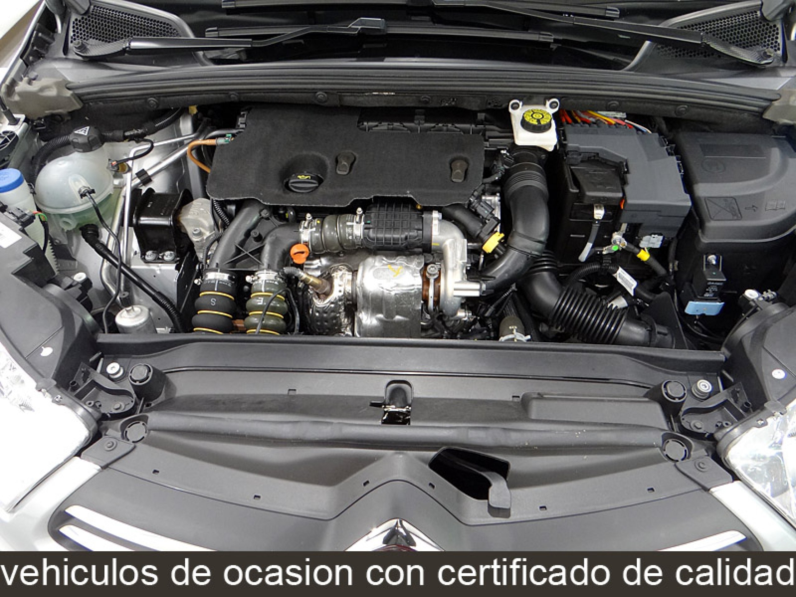 Foto Citroen C4 19