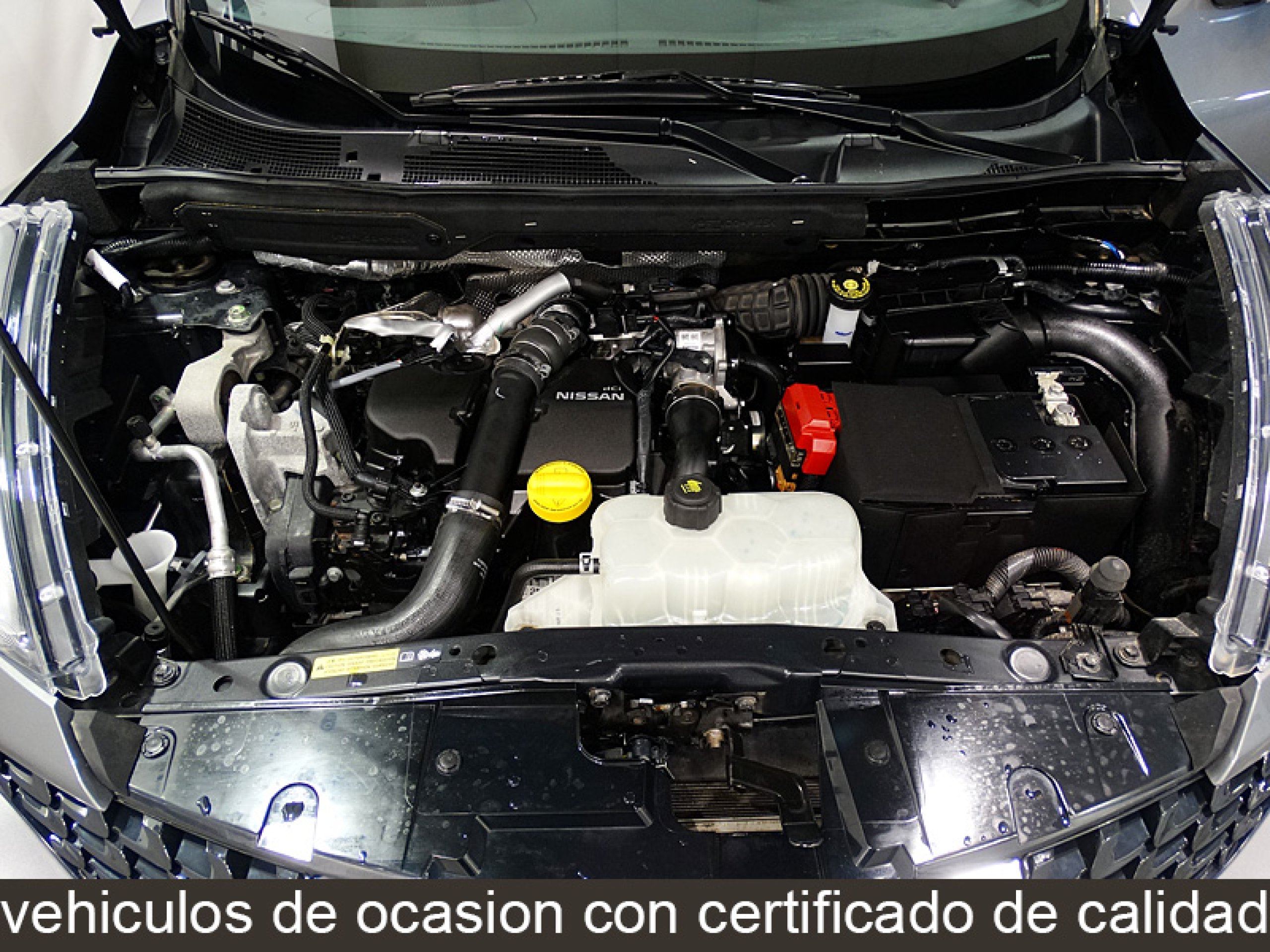 Foto Nissan Juke 15