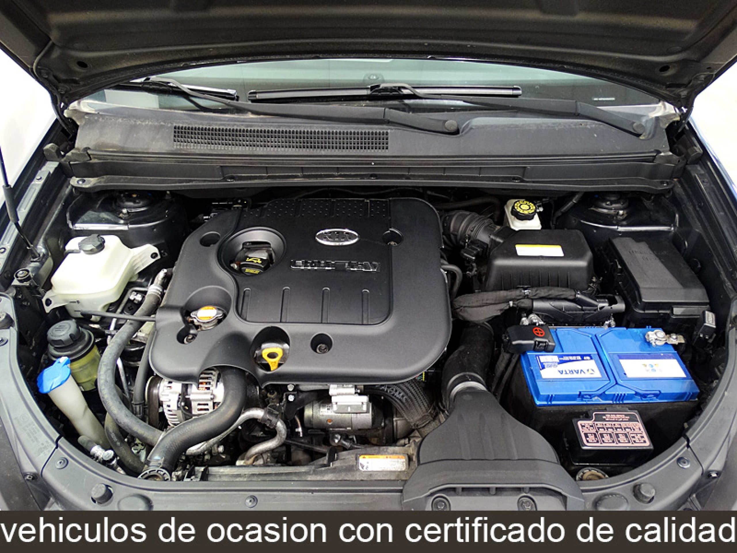 Foto Kia Carens 13
