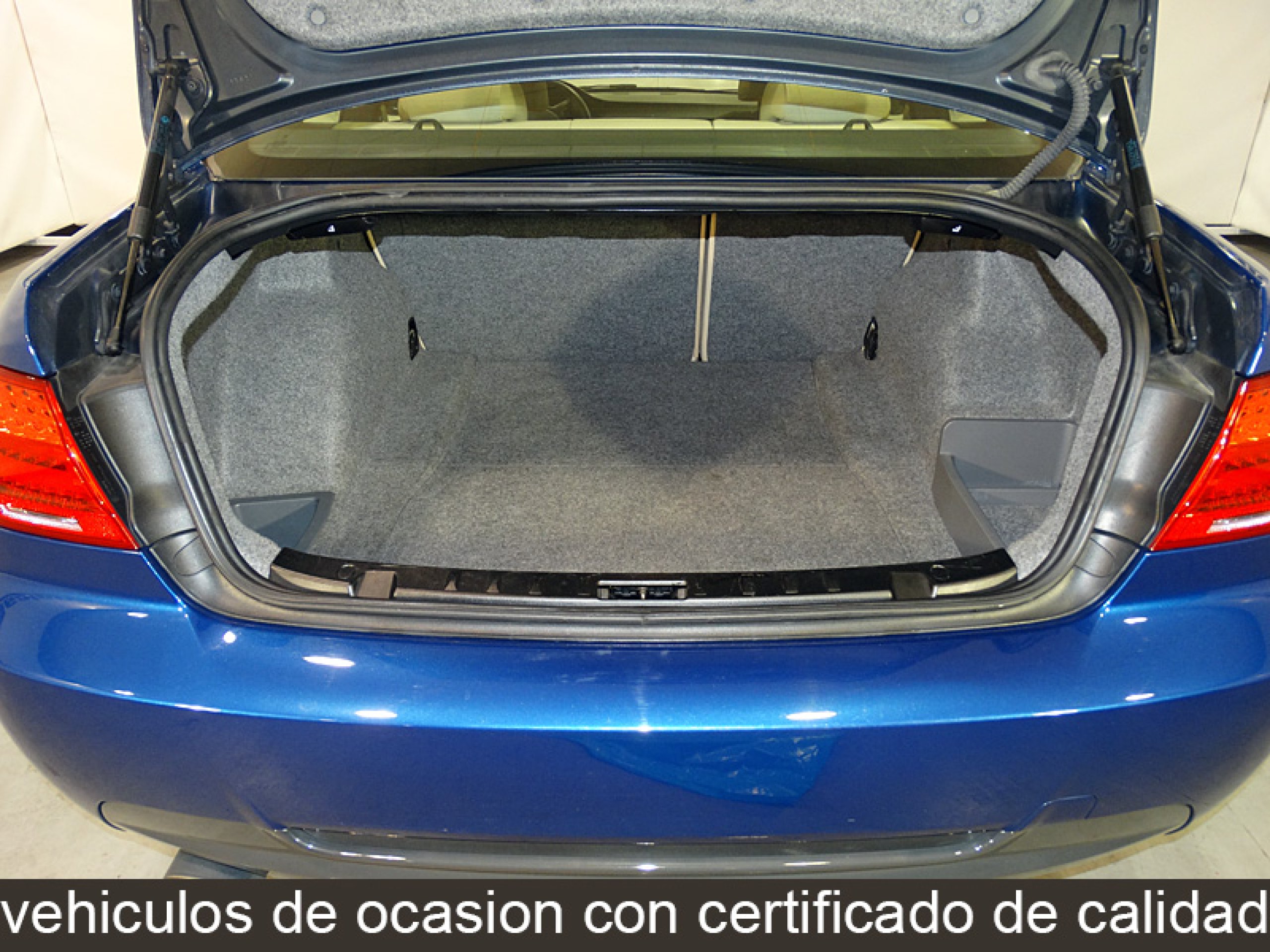 Foto Bmw 320 10