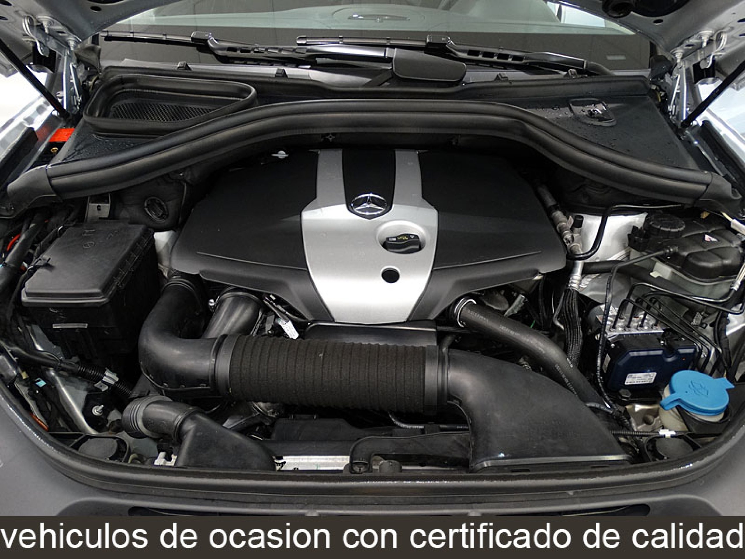 Foto Mercedes-Benz ML 250 12