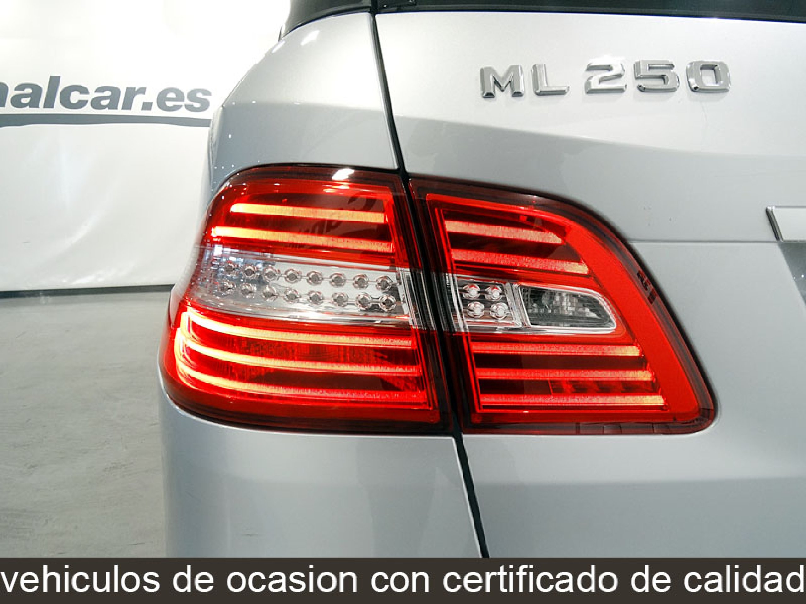 Foto Mercedes-Benz ML 250 16