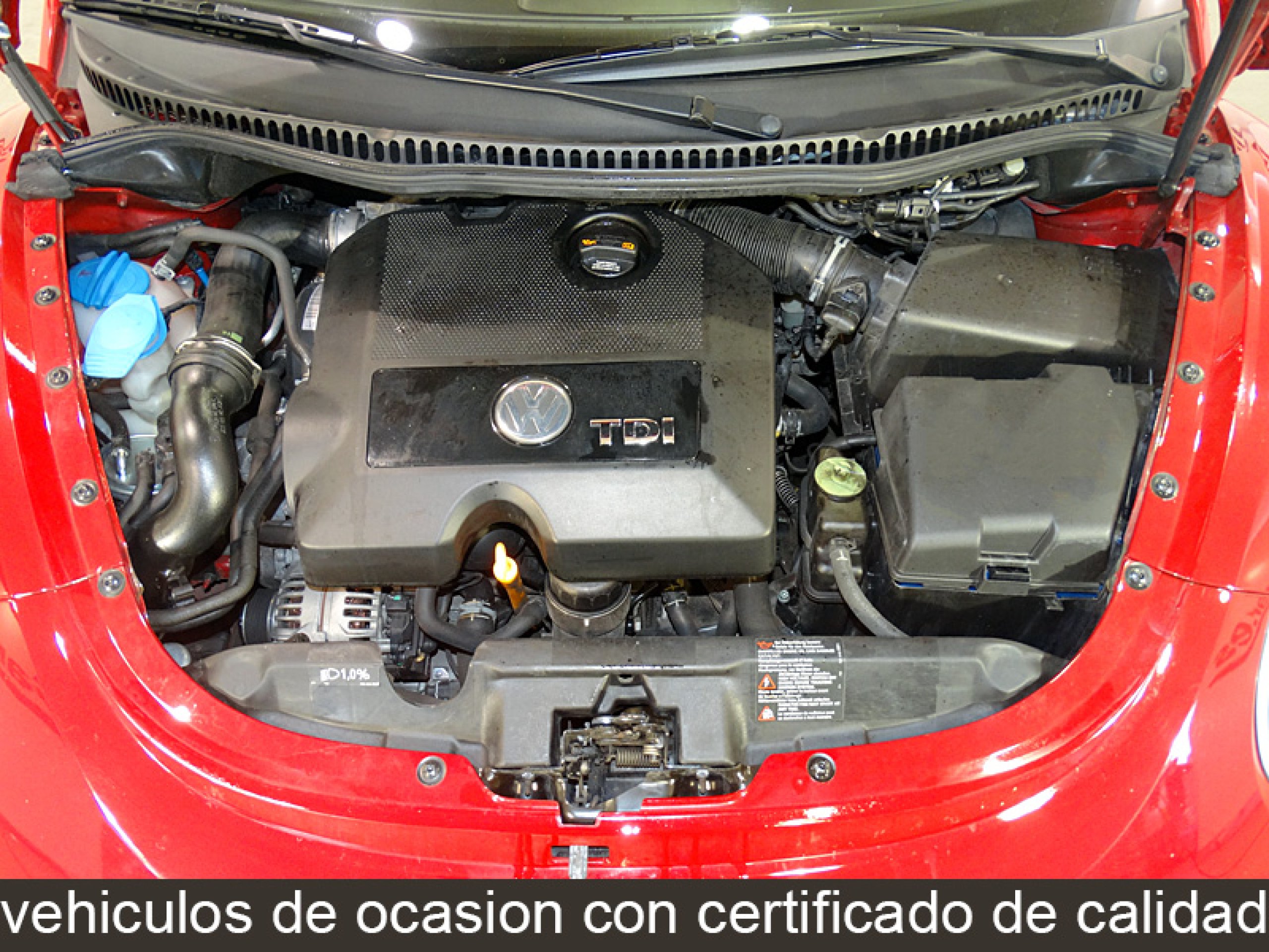 Foto Volkswagen New Beetle 8