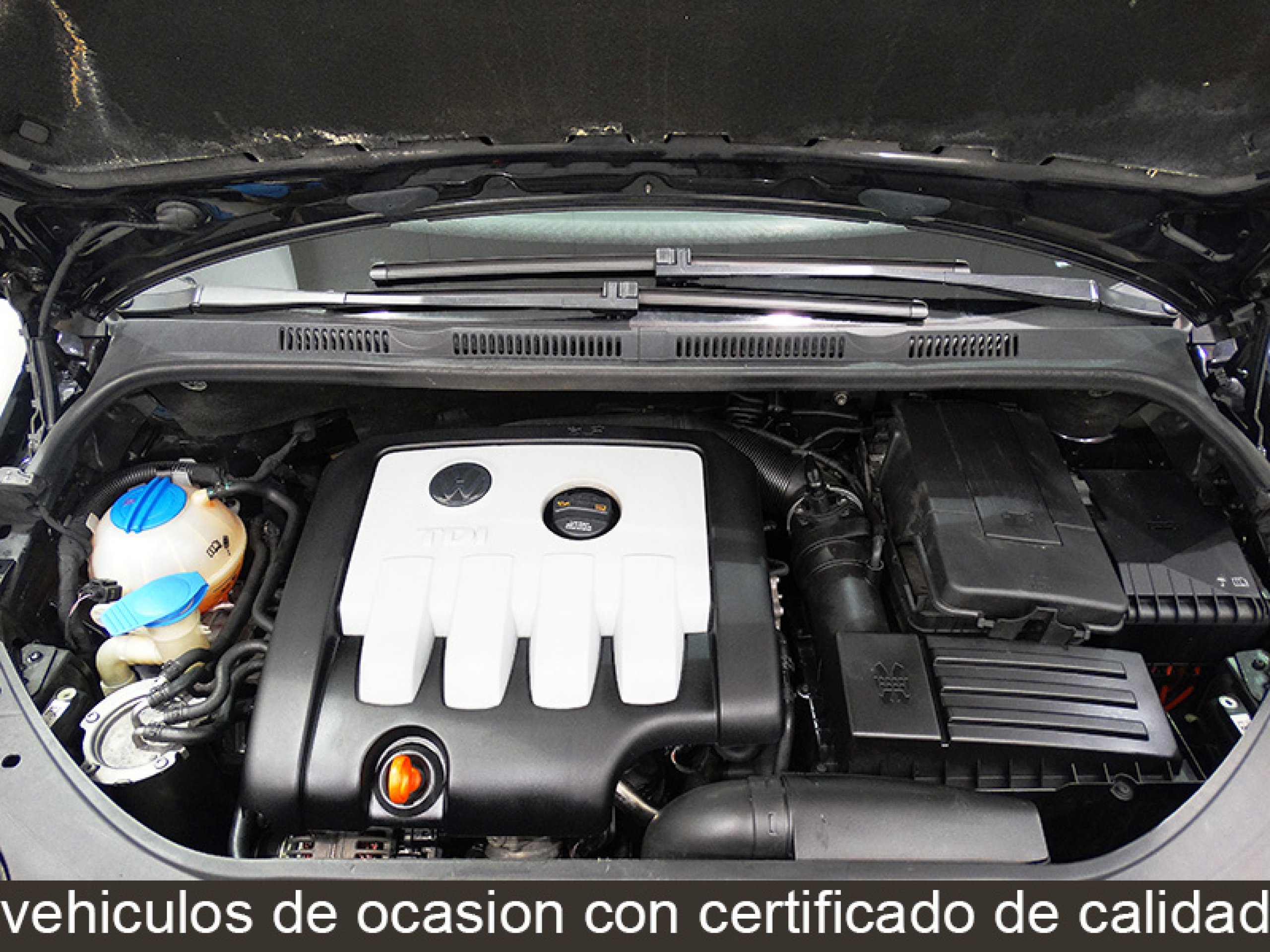 Foto Volkswagen Golf 15