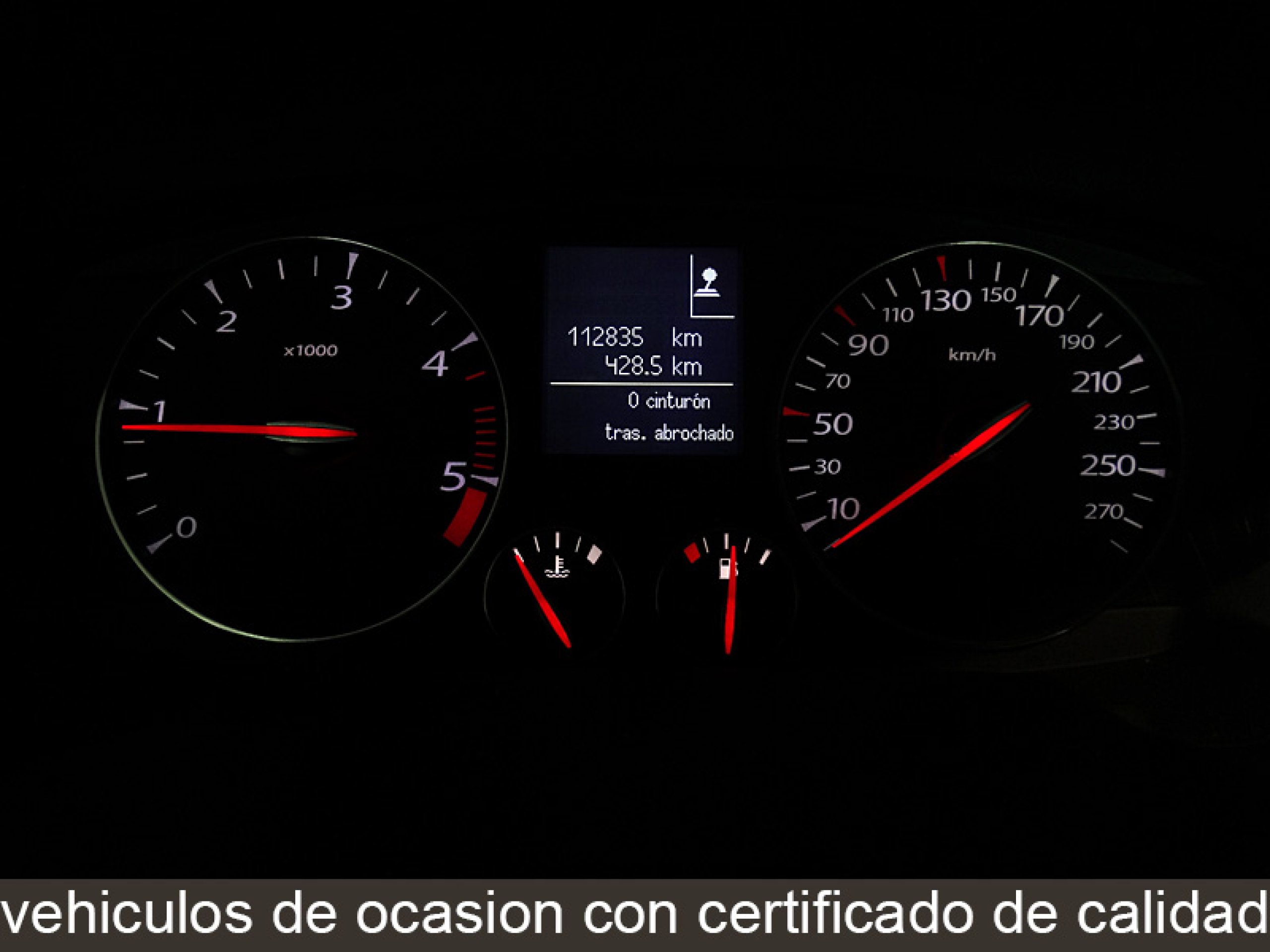 Foto Renault Laguna 17