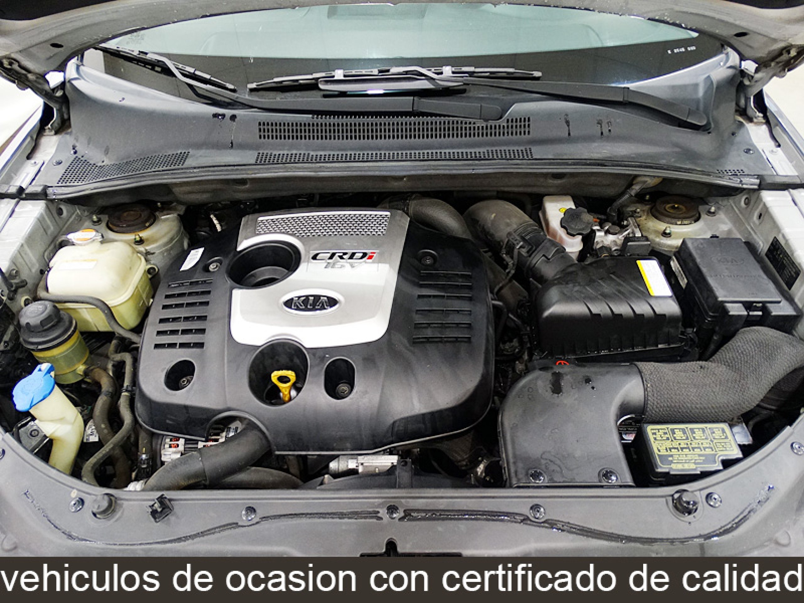 Foto Kia Sportage 16