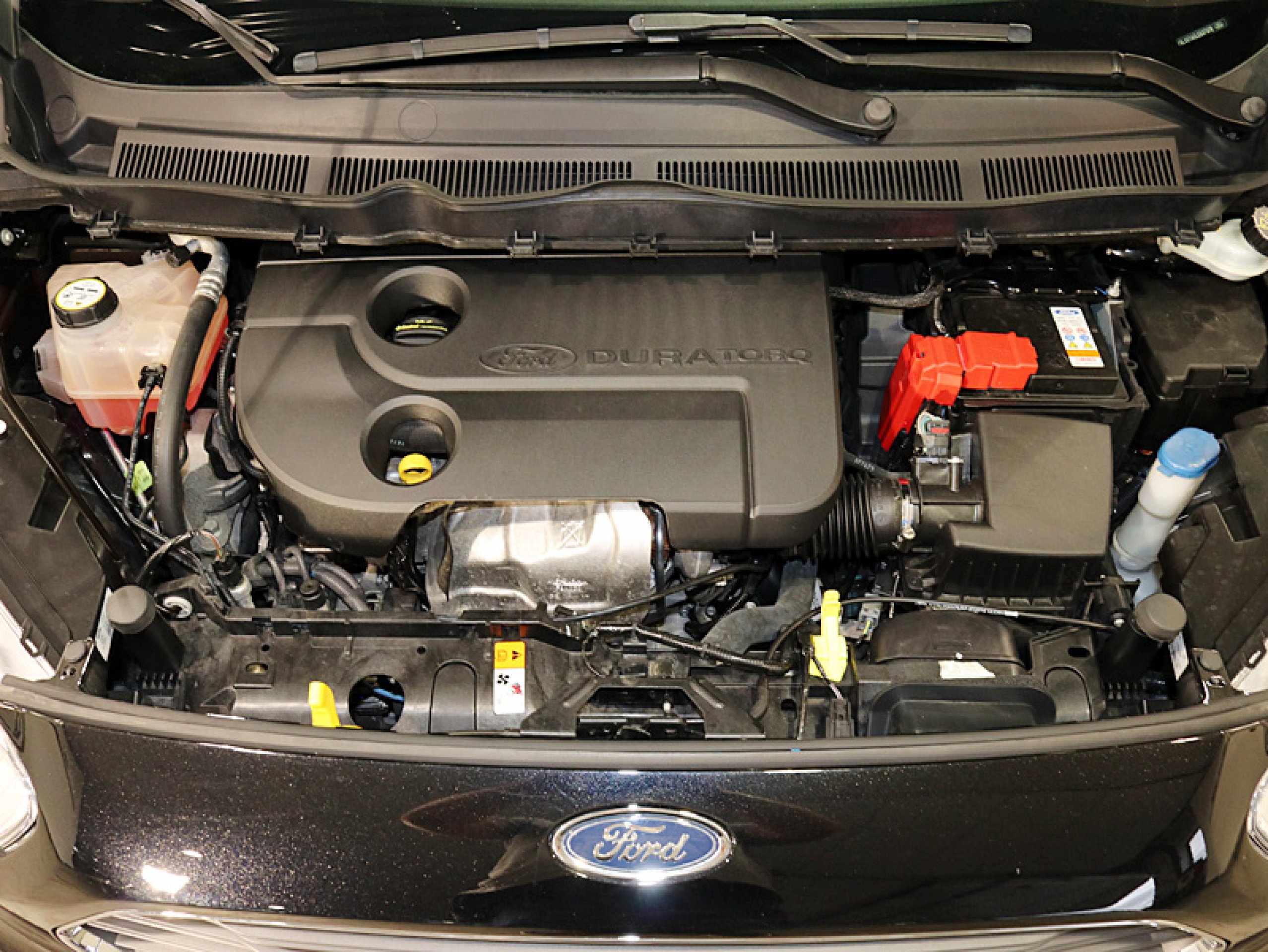 Foto Ford Tourneo 8