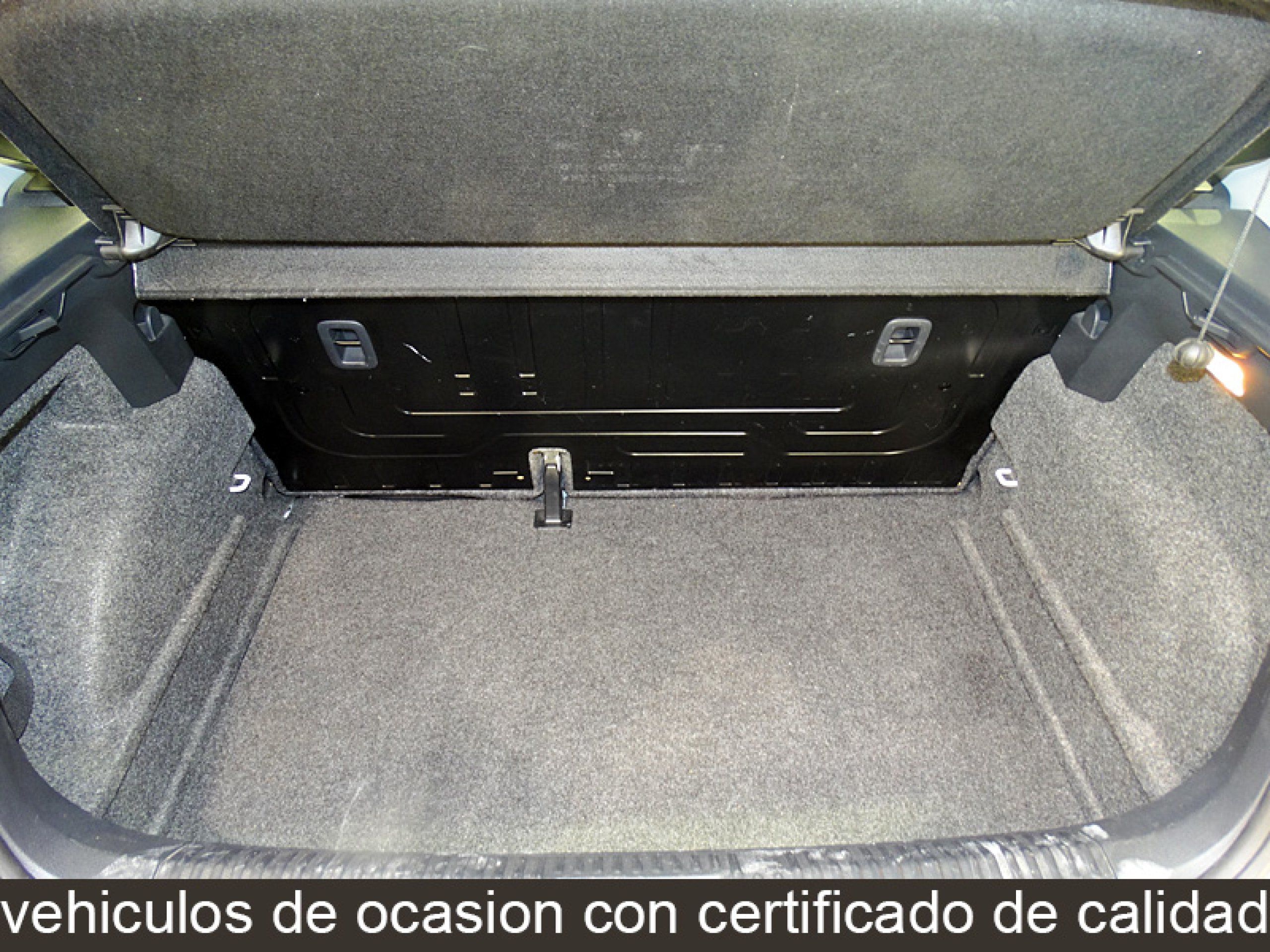 Foto Volkswagen Polo 14