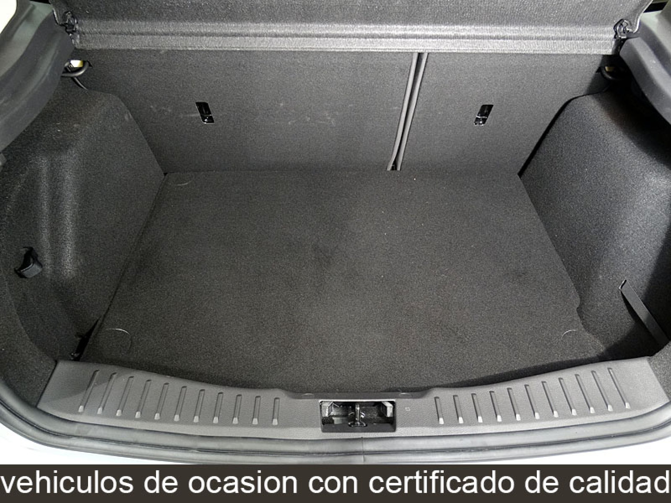Foto Ford Focus 13