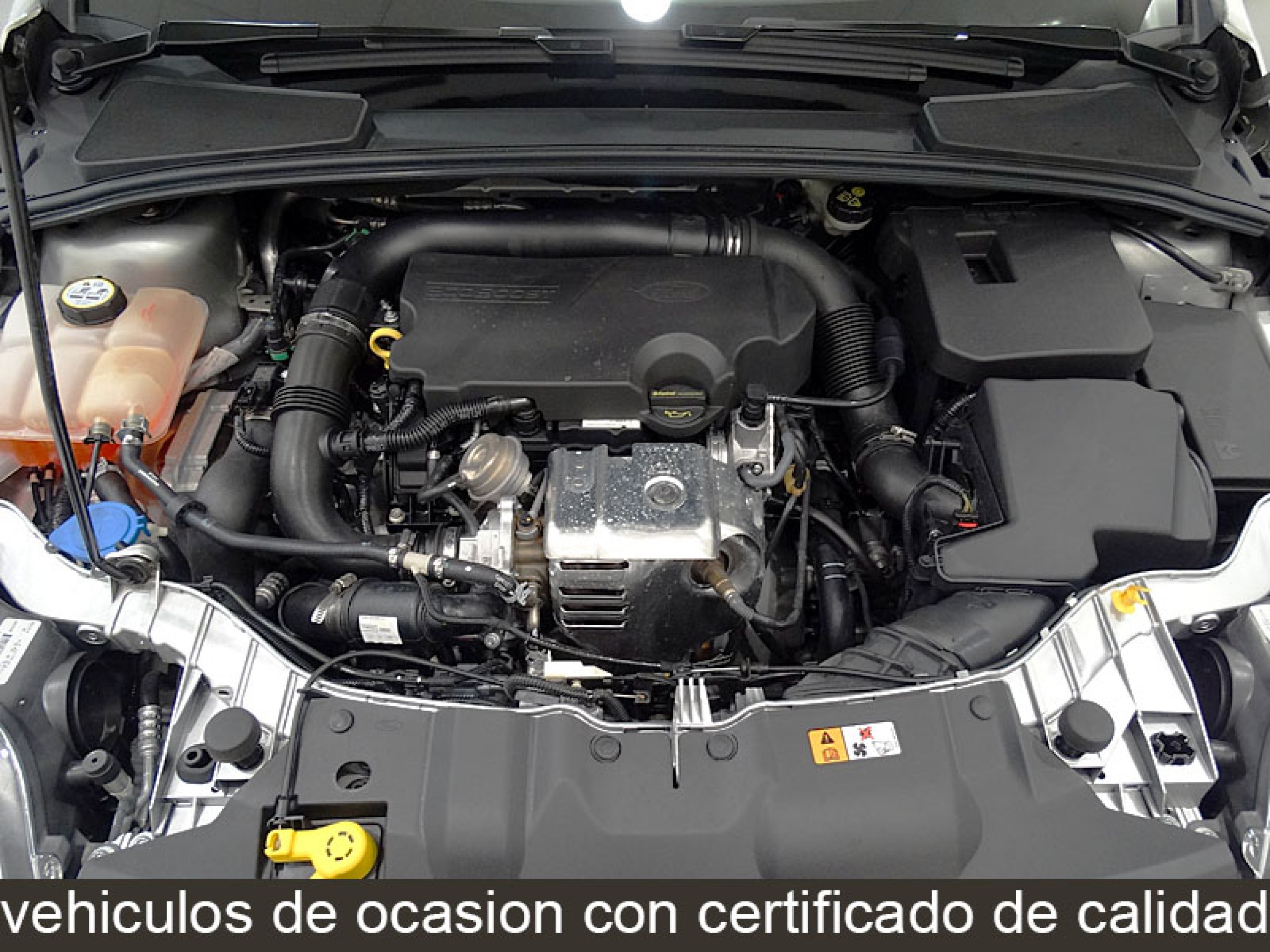 Foto Ford Focus 17