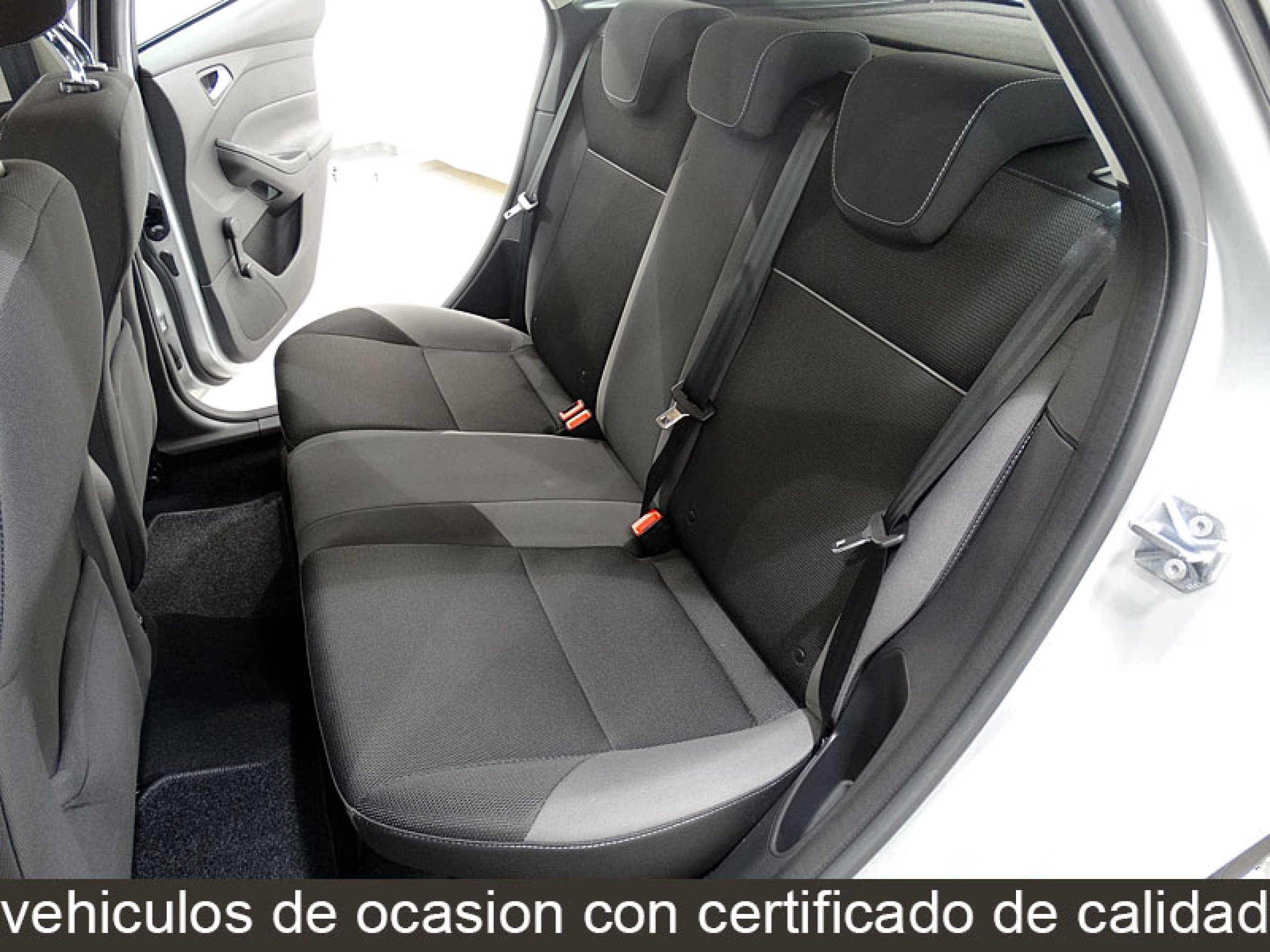 Foto Ford Focus 20