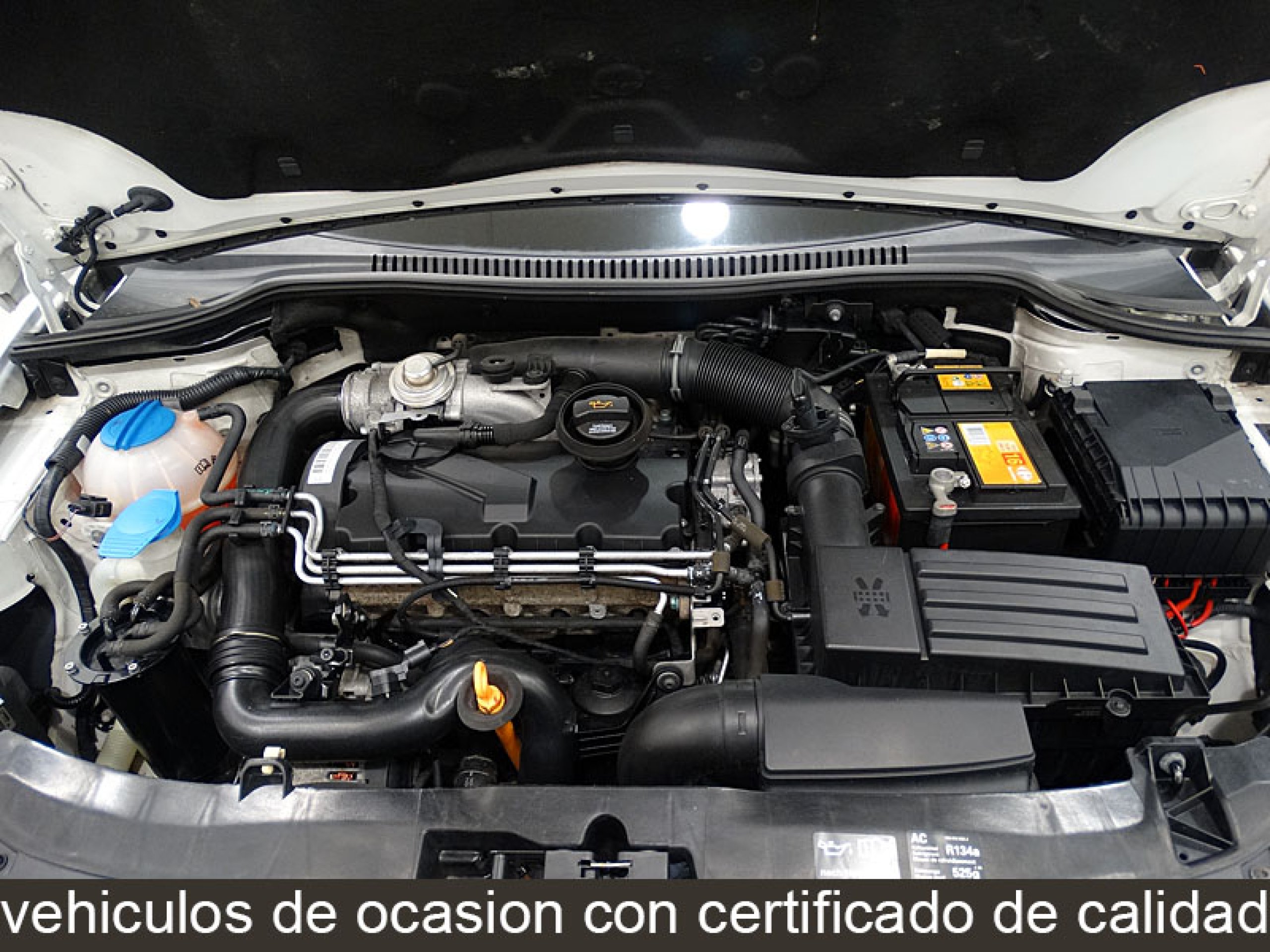 Foto Seat Leon 15