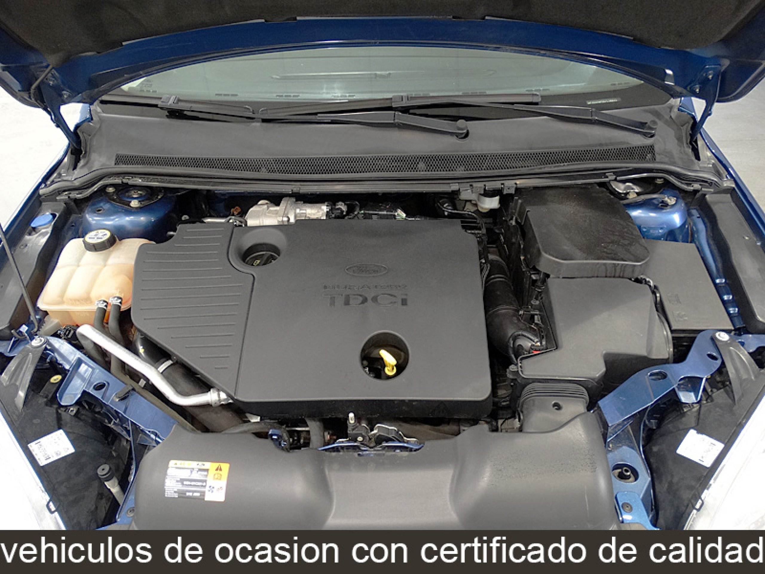 Foto Ford Focus 17
