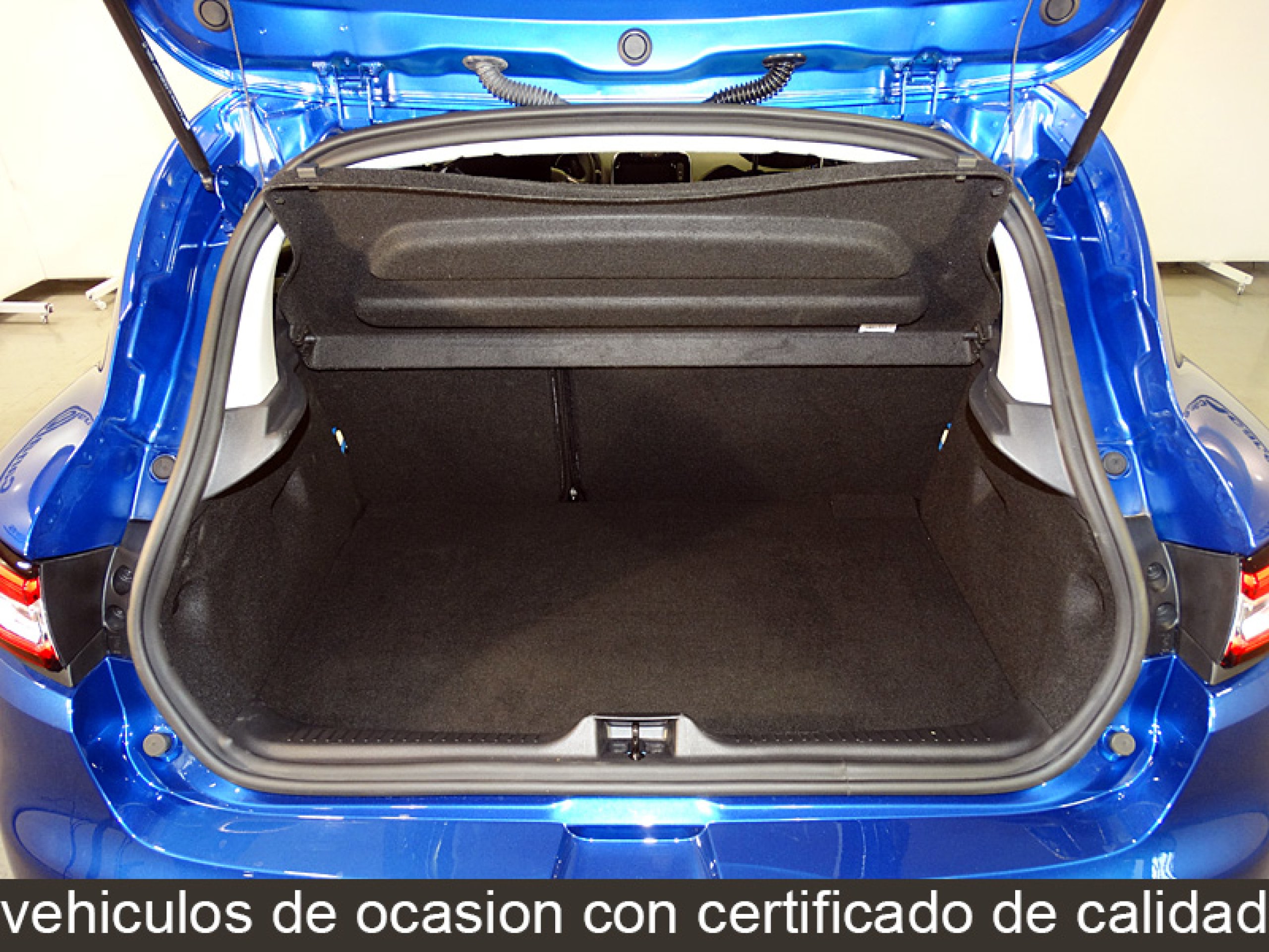 Foto Renault Clio 10