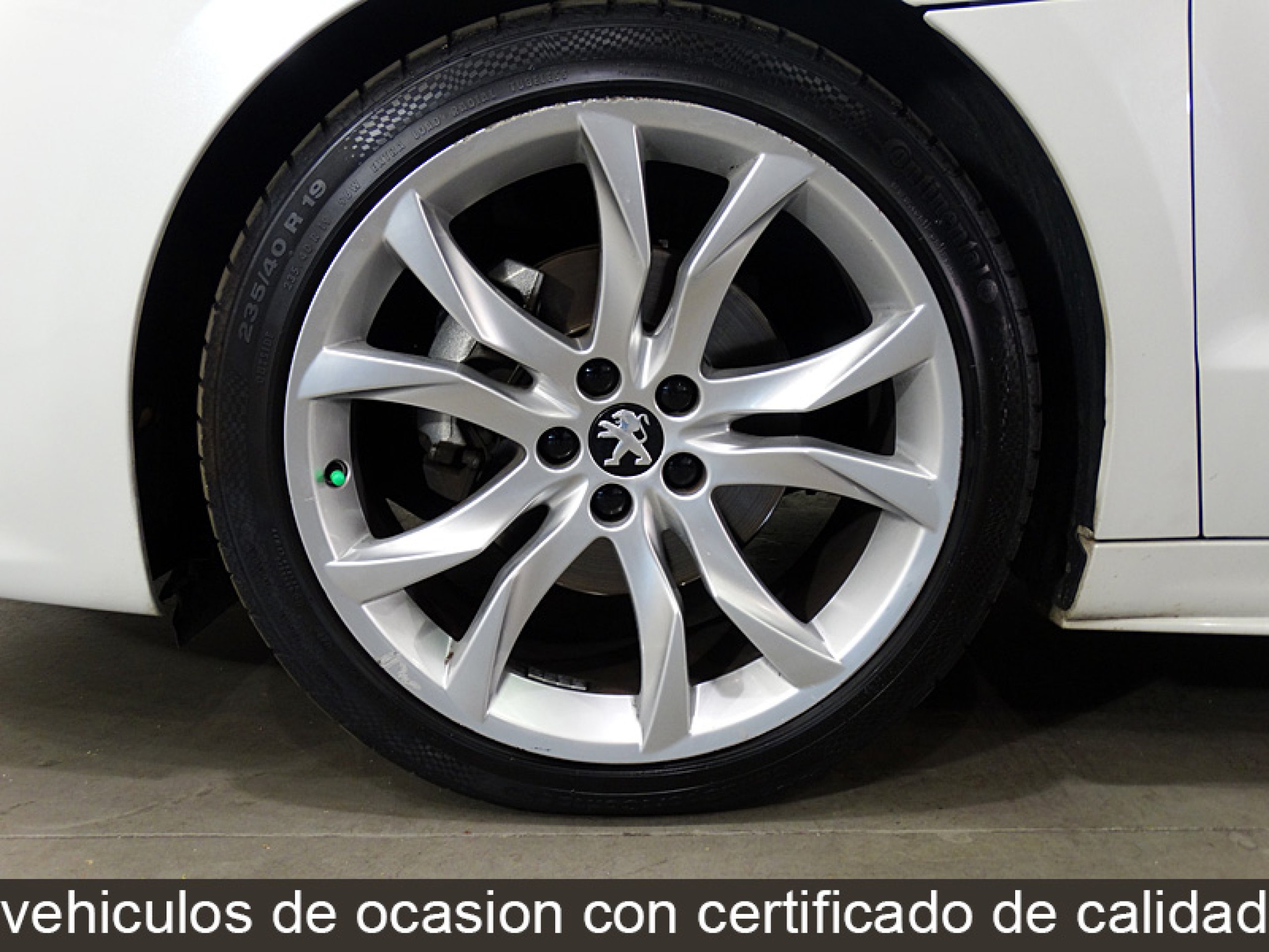 Foto Peugeot RCZ 13