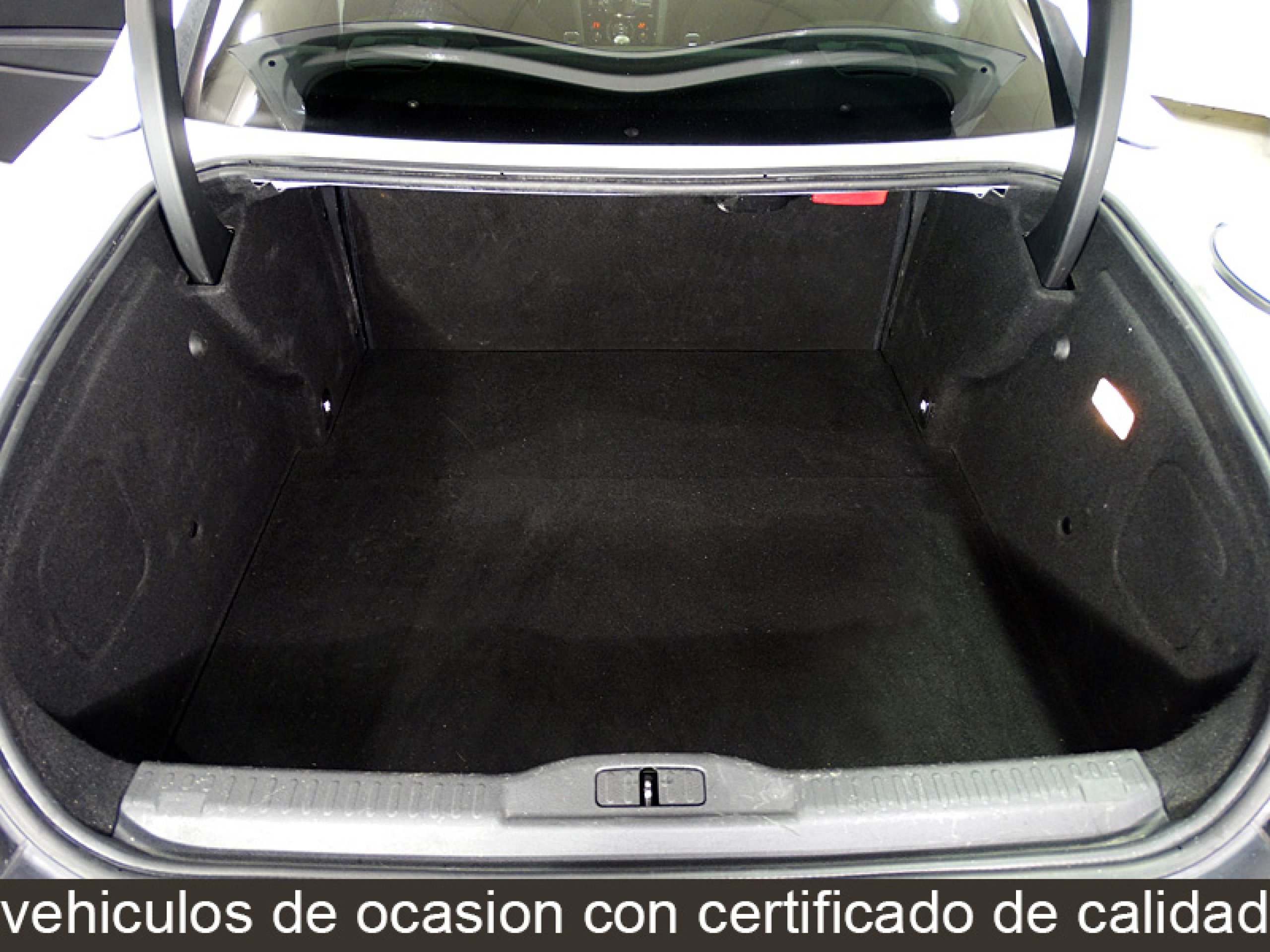 Foto Peugeot RCZ 14