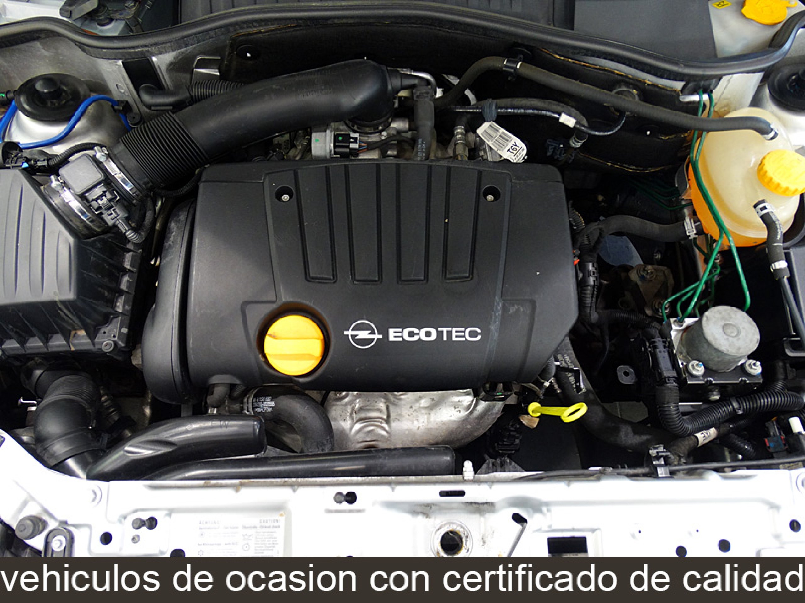 Foto Opel Tigra 10