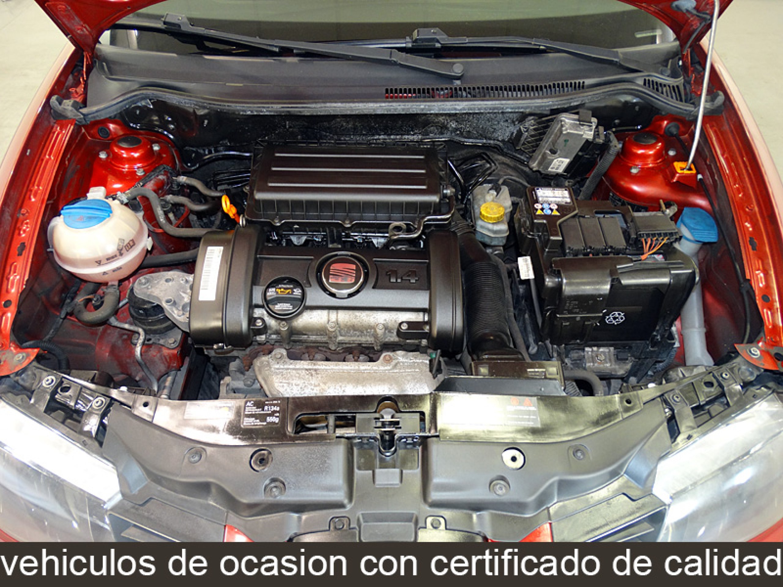 Foto Seat Ibiza 8