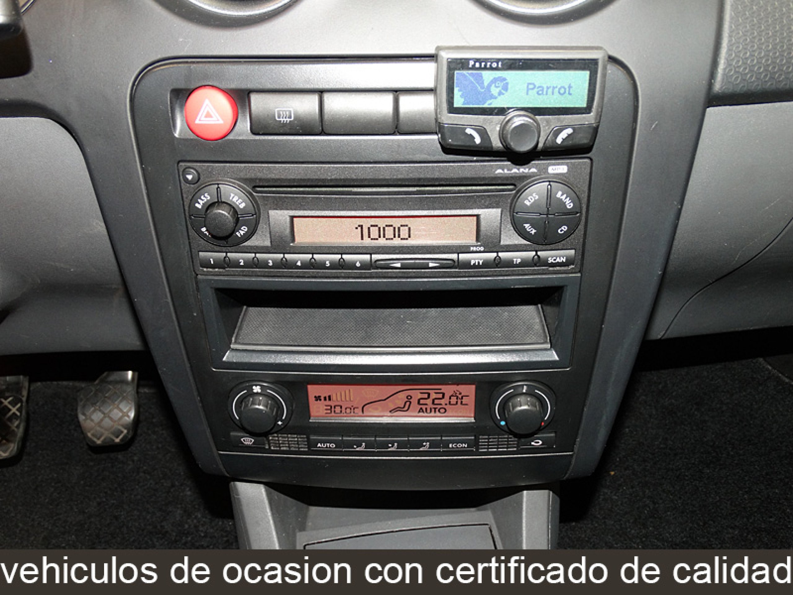 Foto Seat Ibiza 17