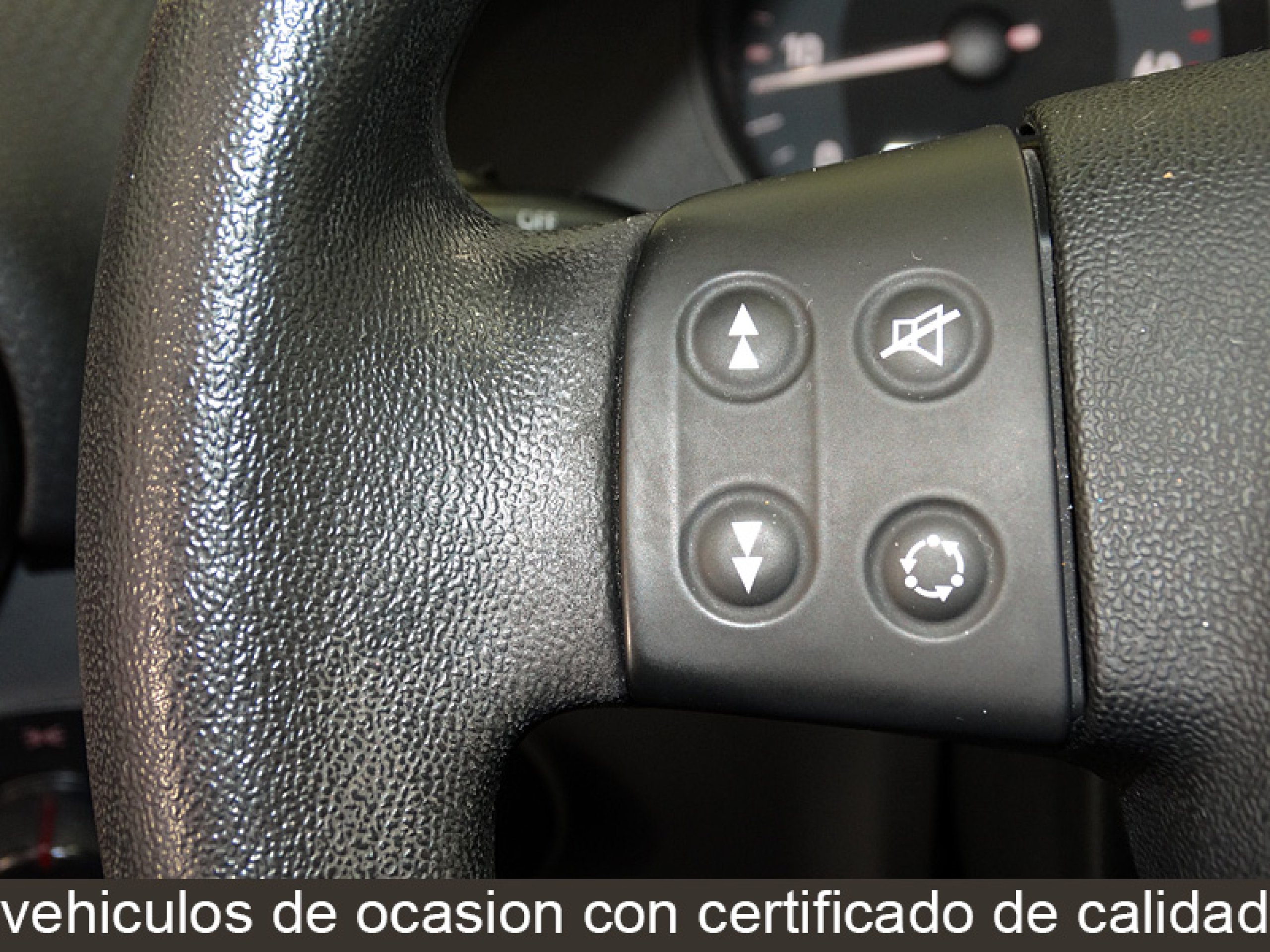 Foto Seat Ibiza 24
