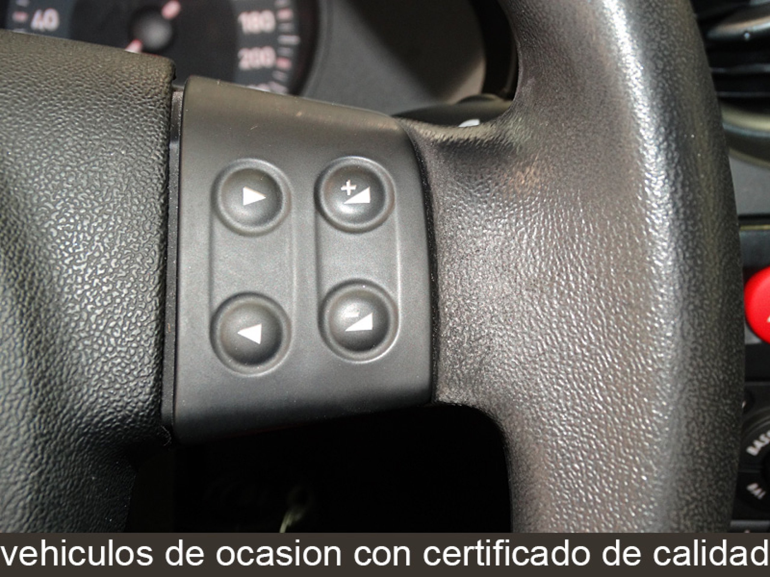 Foto Seat Ibiza 25