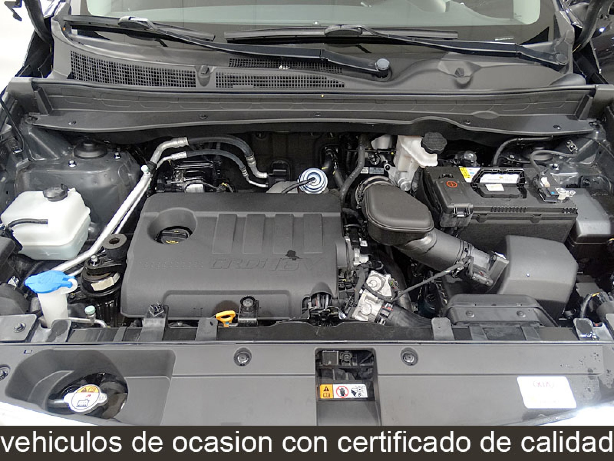 Foto Kia Sportage 13