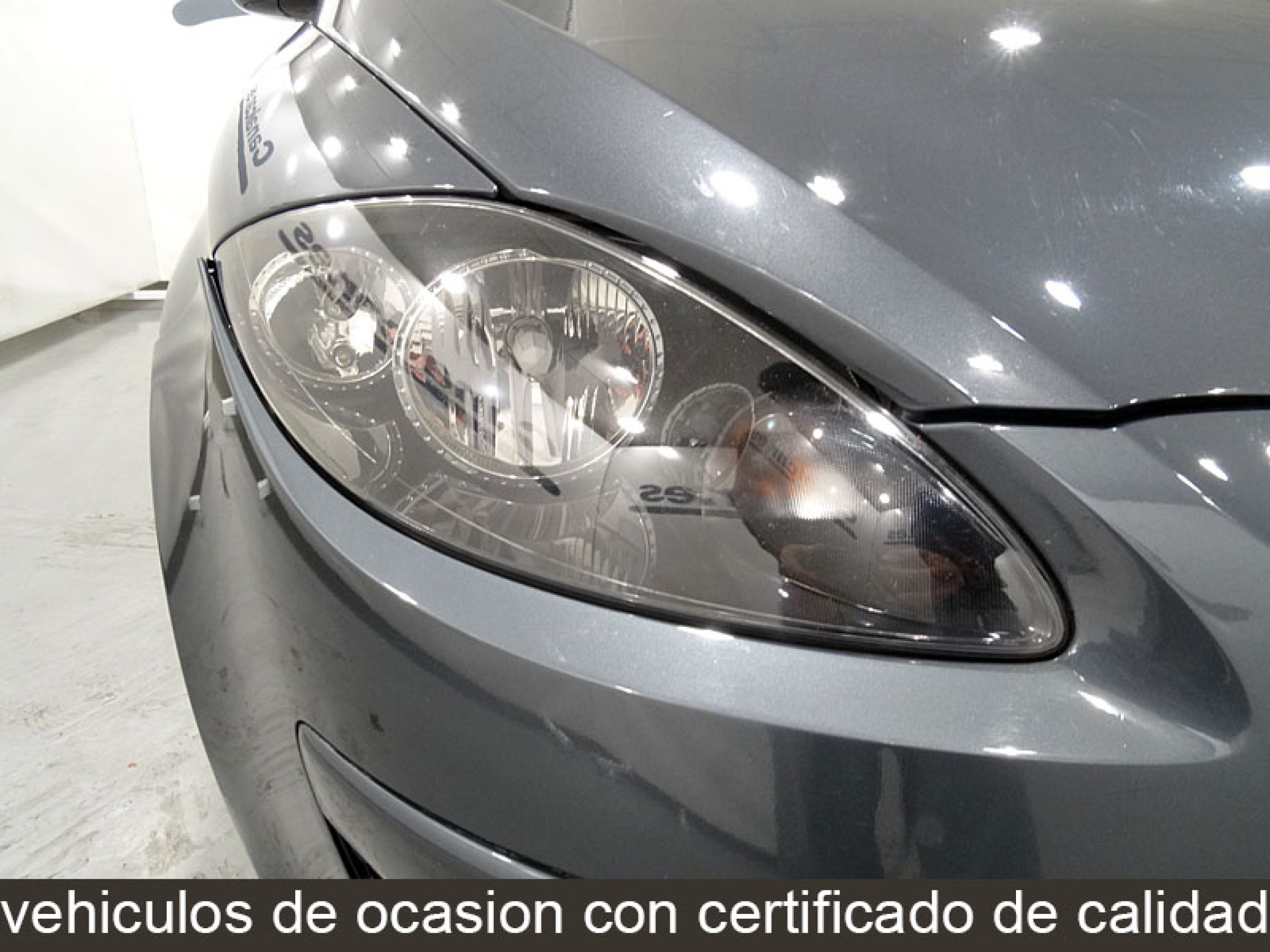 Foto Seat Altea 18