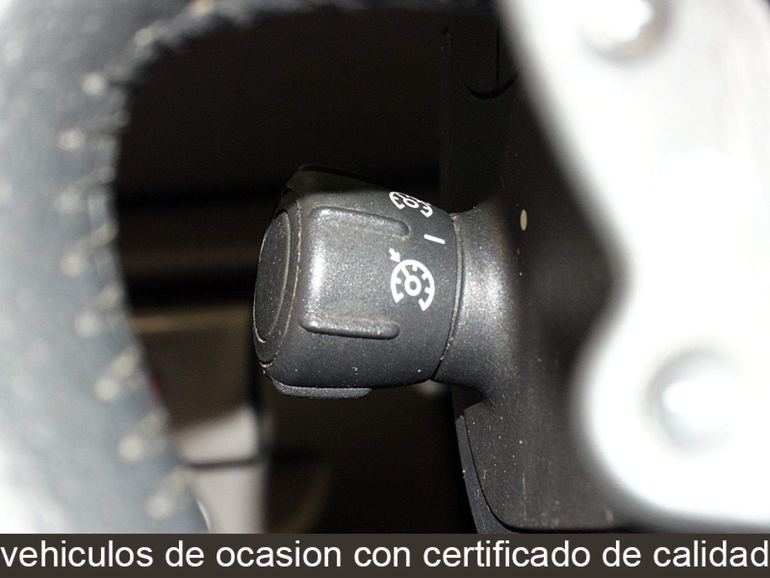 Foto Renault Grand Scenic 18