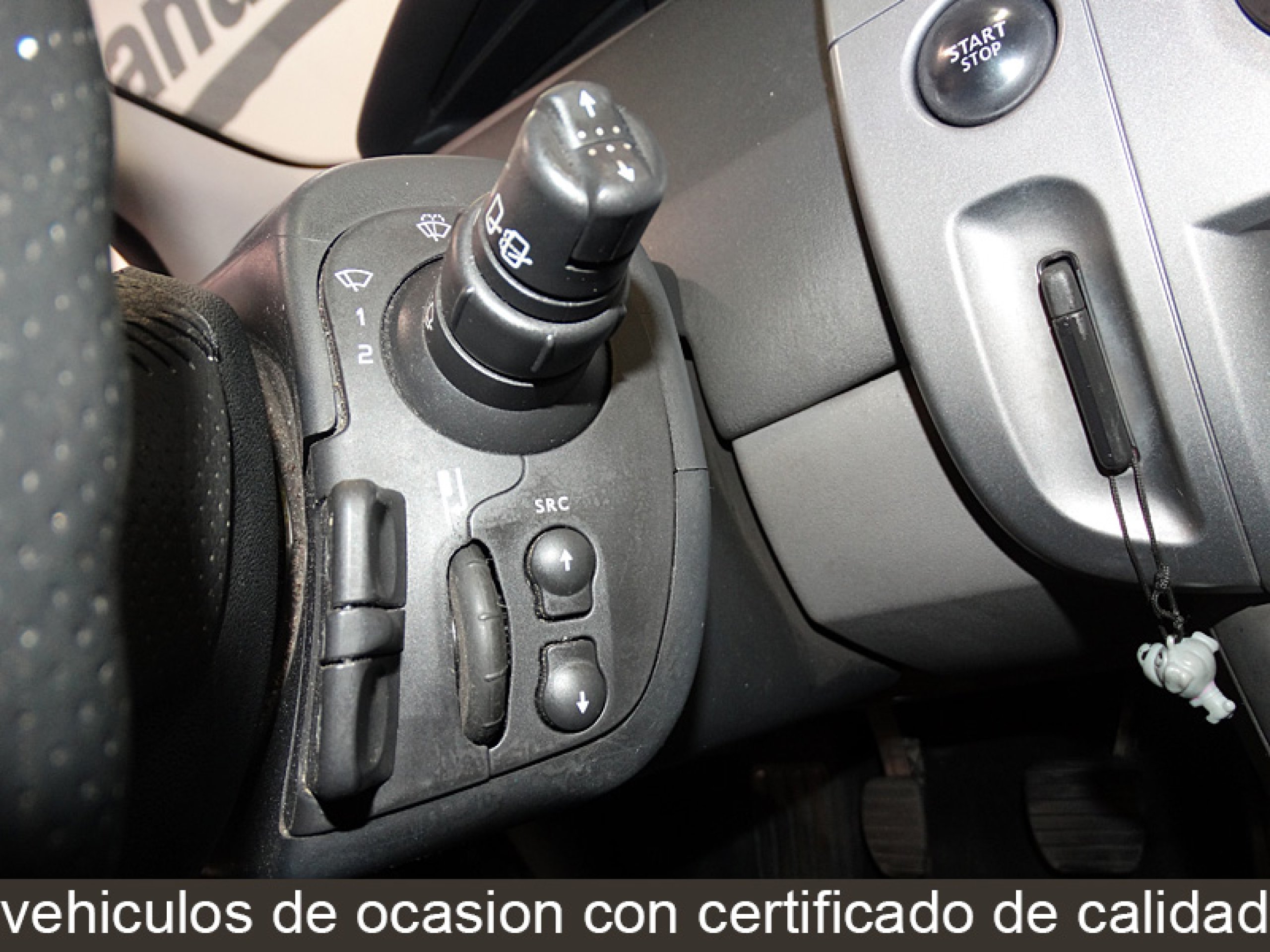 Foto Renault Grand Scenic 19