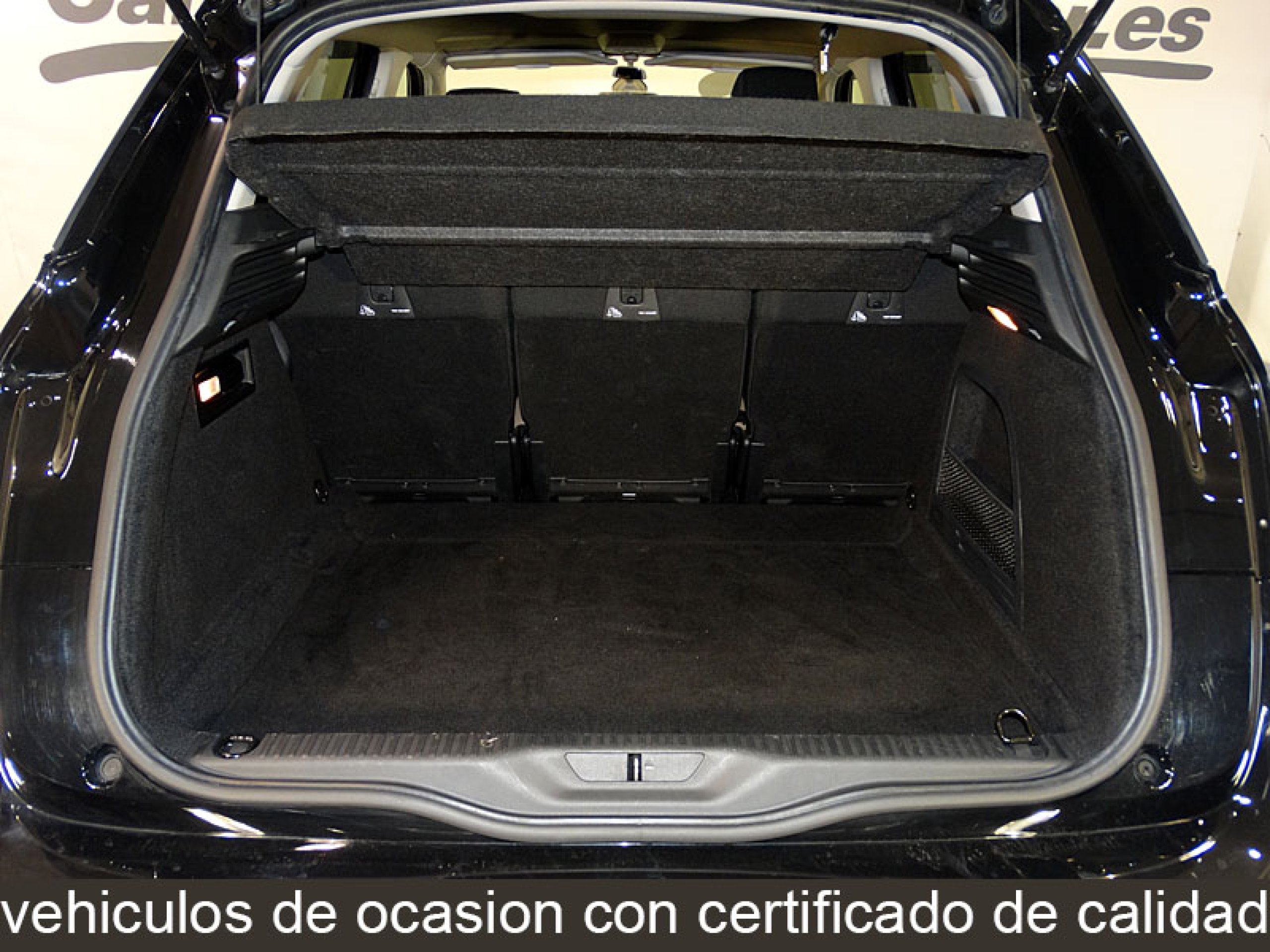 Foto Citroen C4 Picasso 10