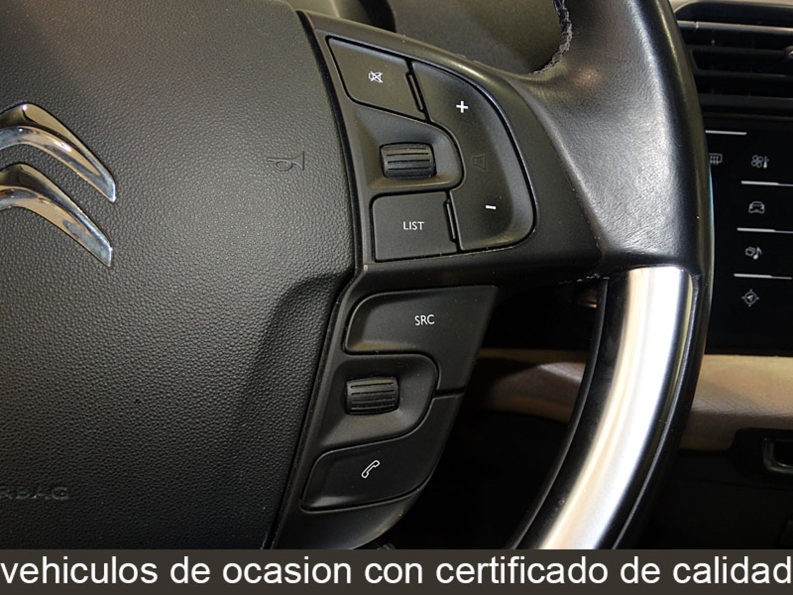 Foto Citroen C4 Picasso 30