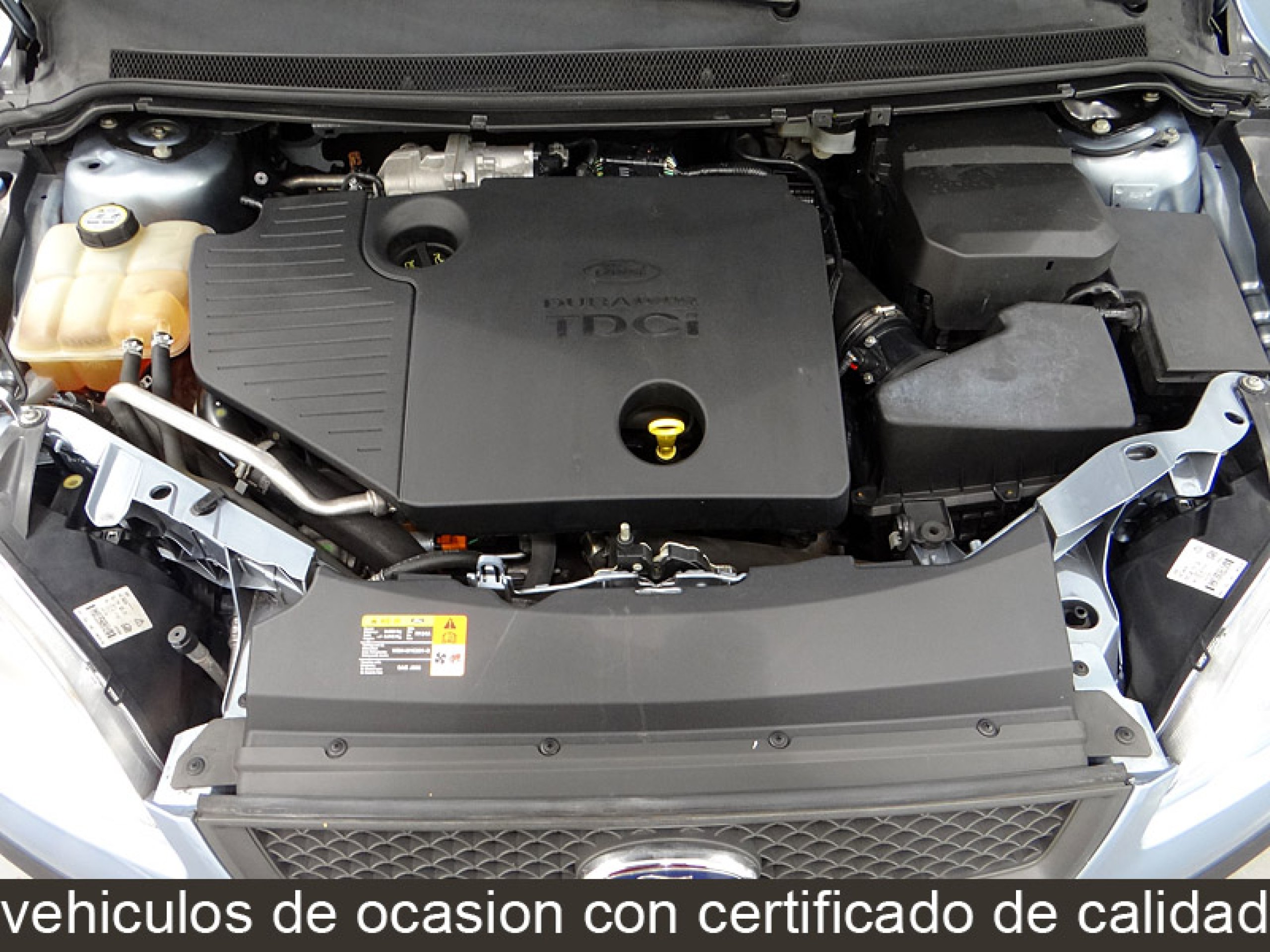 Foto Ford Focus 19