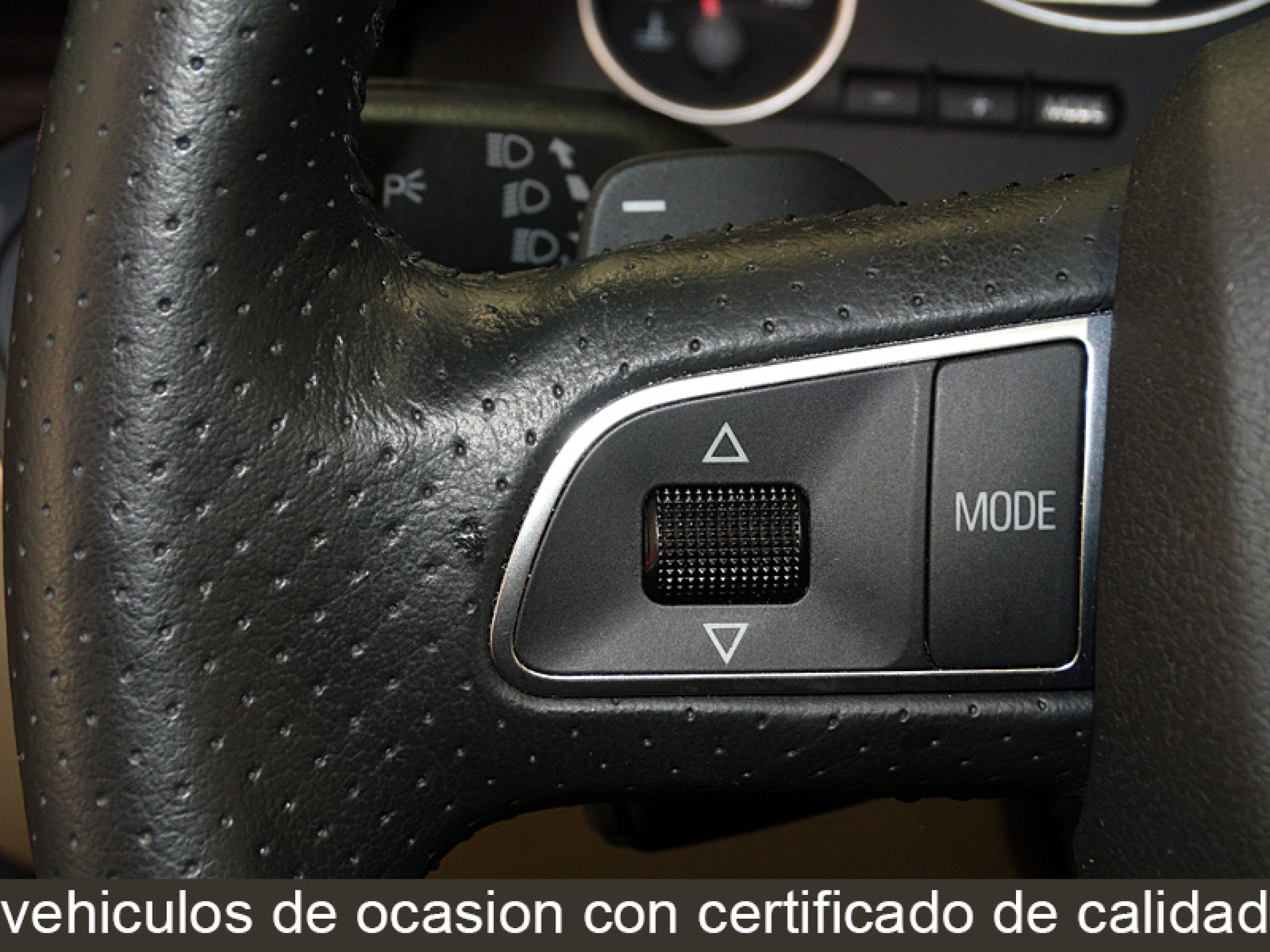 Foto Seat Exeo 31